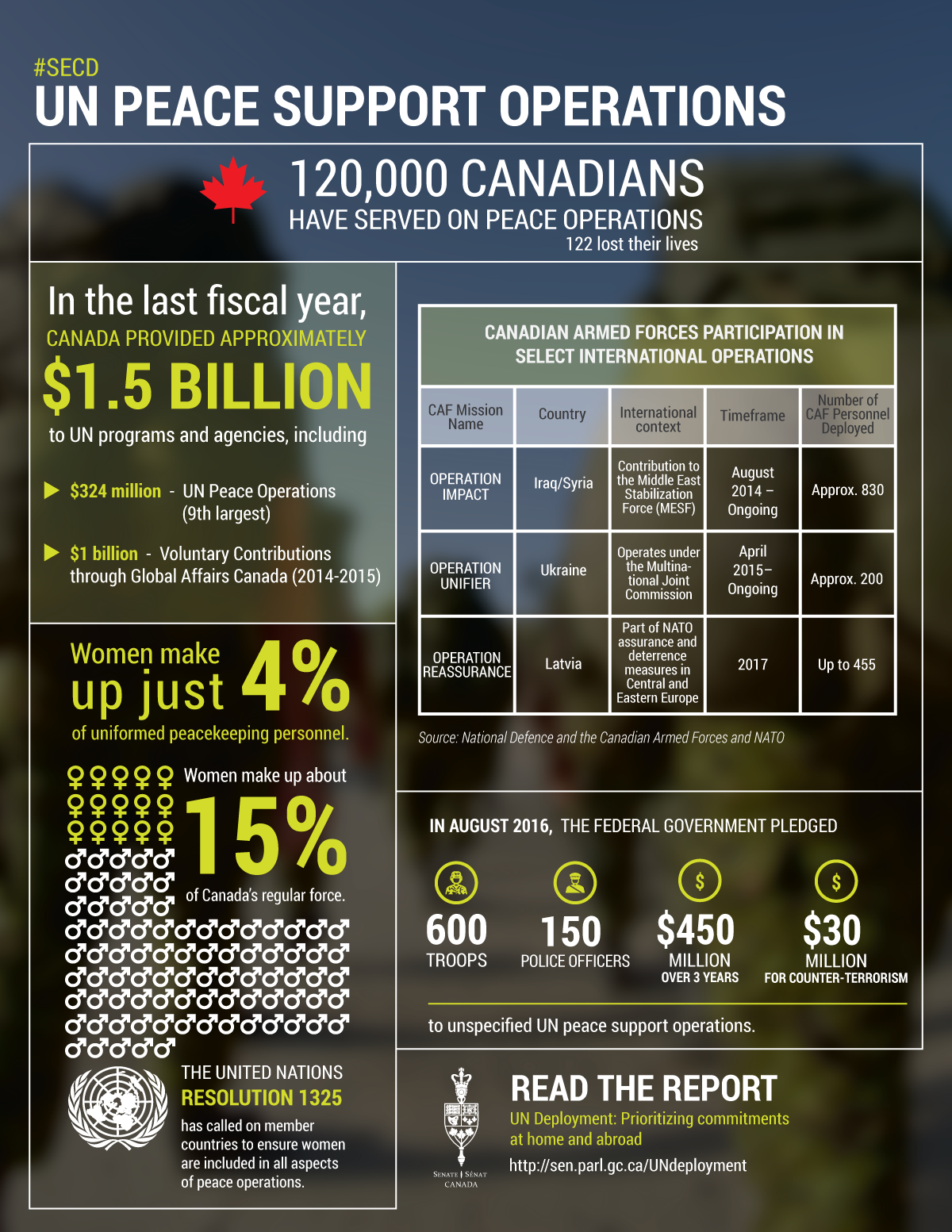 Infographic: UN Peace Support Operations