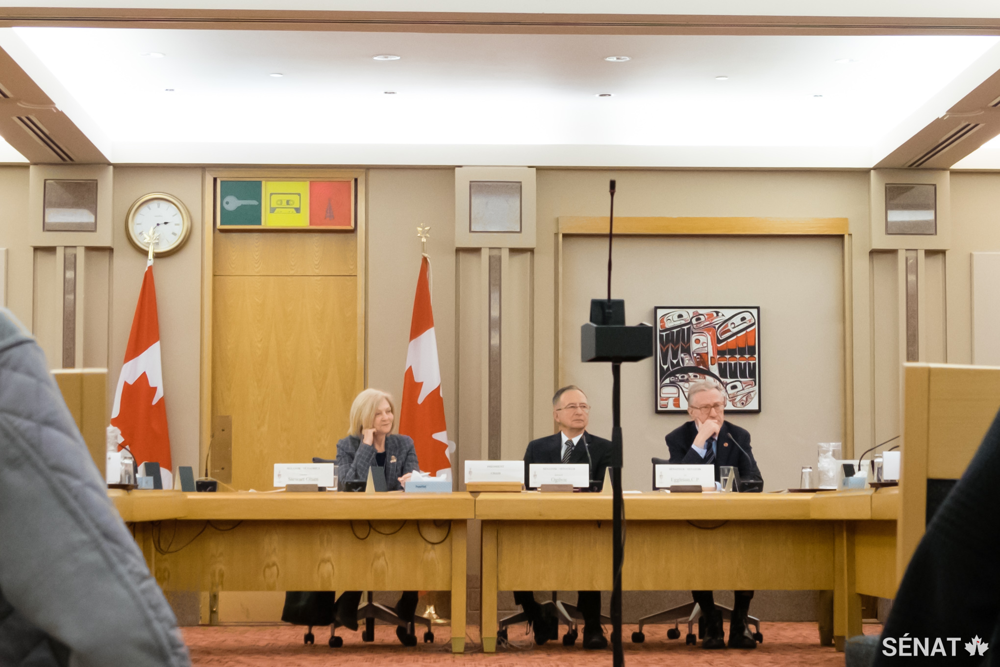 Des membres du Comité sénatorial des affaires sociales, des sciences et de la technologie répondent aux questions des membres de l’audience.