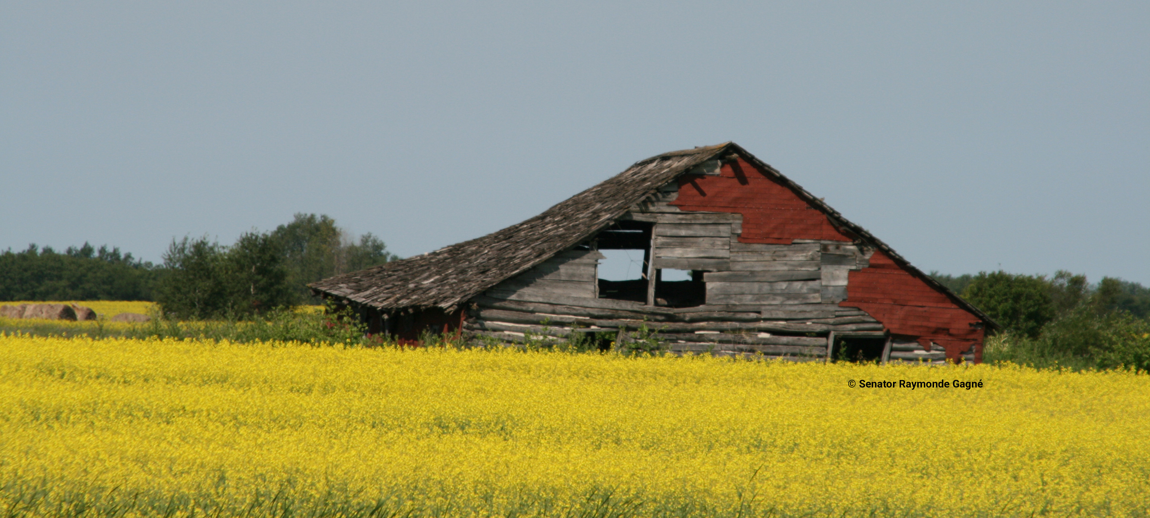Raymonde Gagné Logo