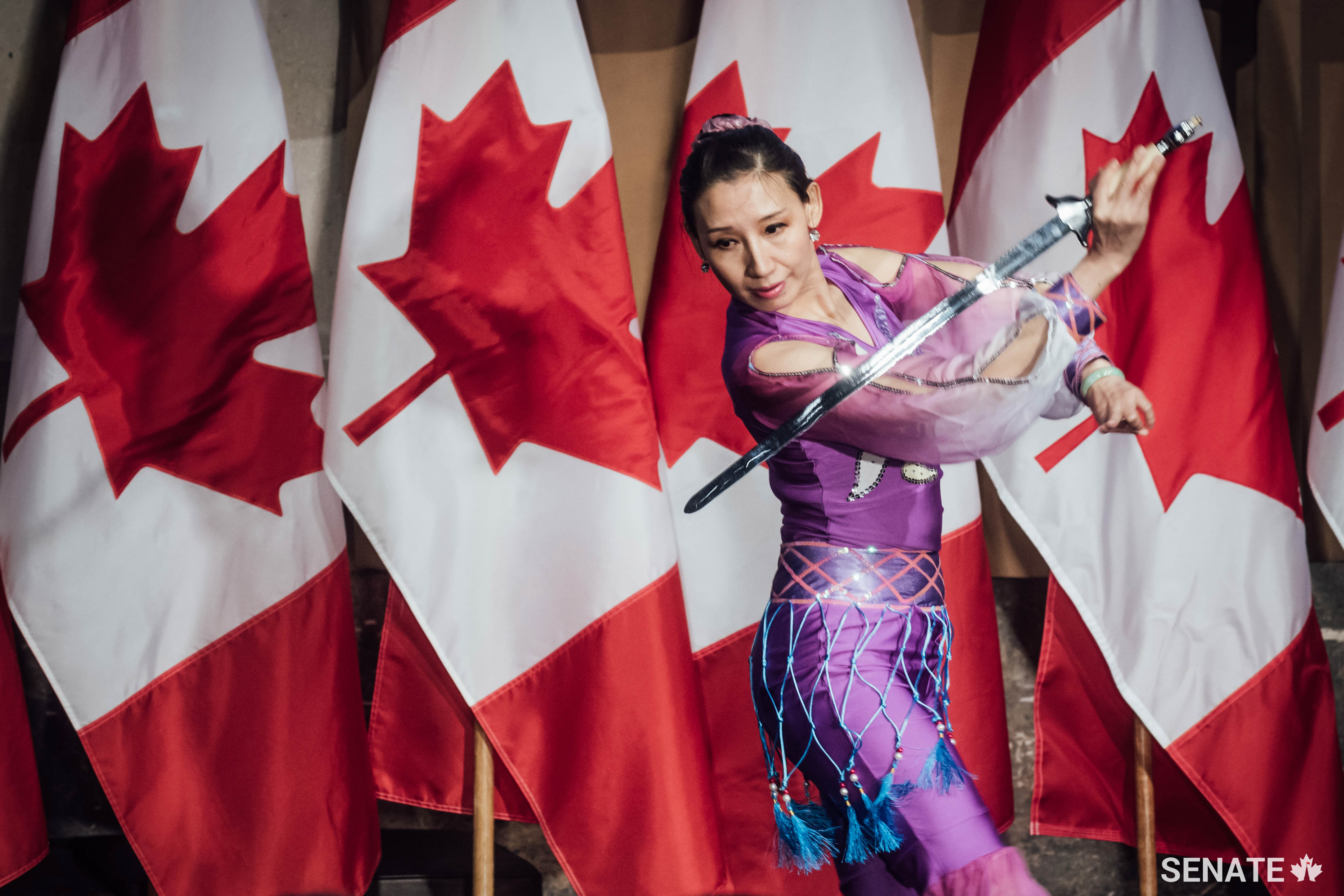 Dancer Grace Haiyan Lu, the founder of the Haiyan Dance Studio in Ottawa, incorporates martial arts into a contemporary Chinese dance for the audience at the Senate’s Asian Heritage Month reception.