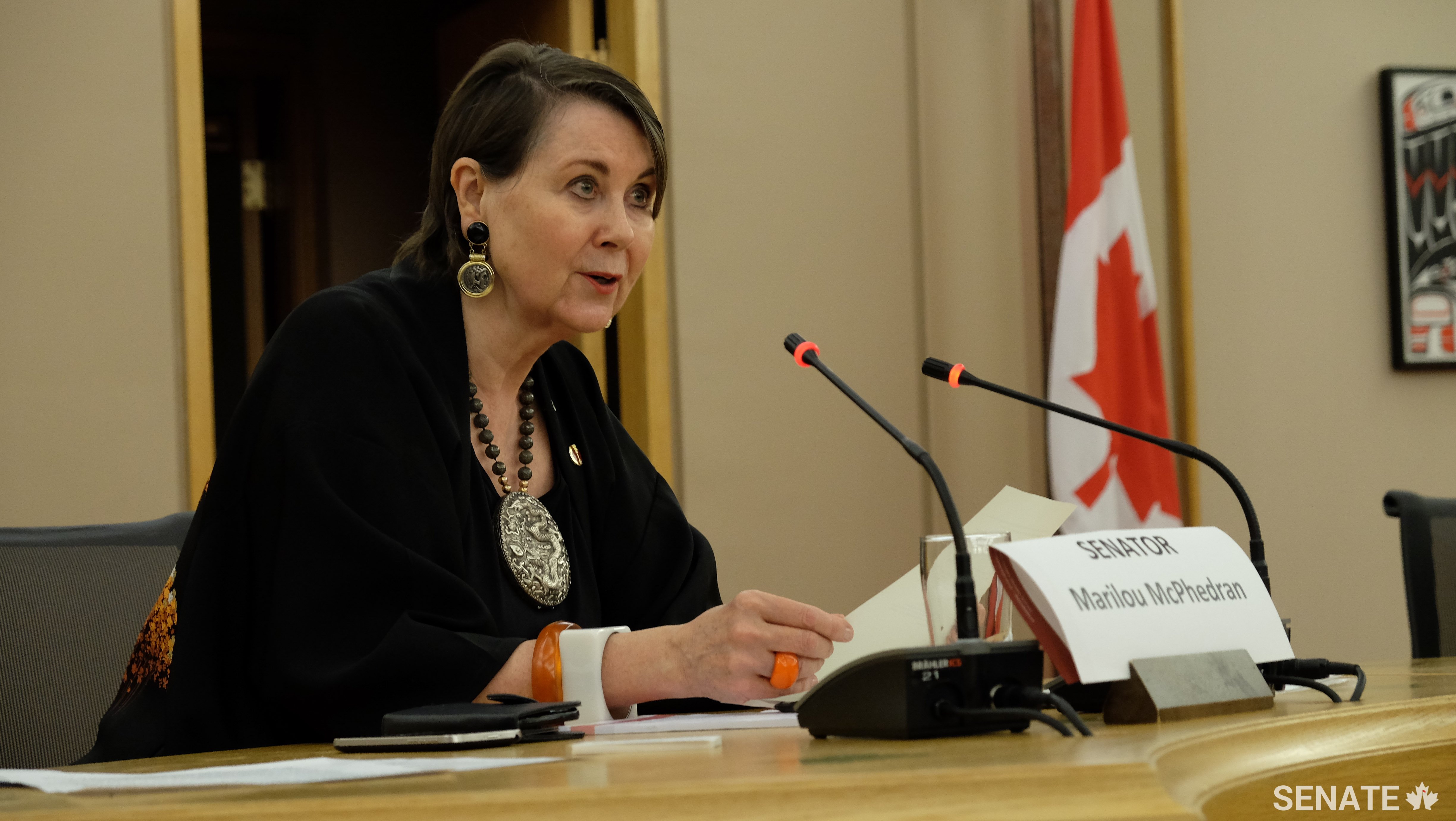 Senator Marilou McPhedran discusses human rights at a panel on June 9, 2017, Parliament Hill, Ottawa.