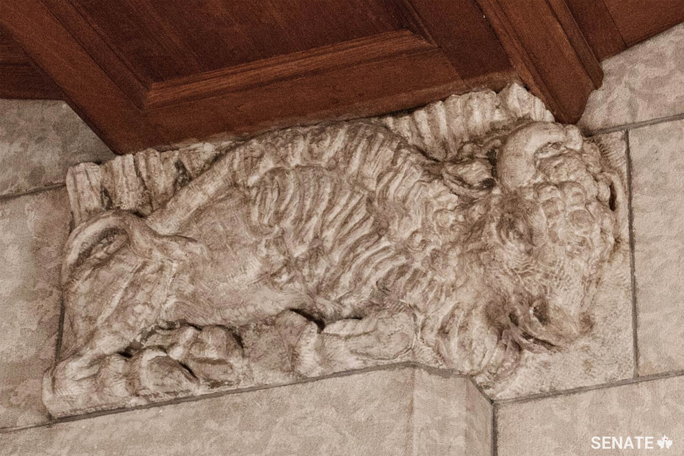 A bison seems to bear the weight of the Senate antechamber ceiling on its back.