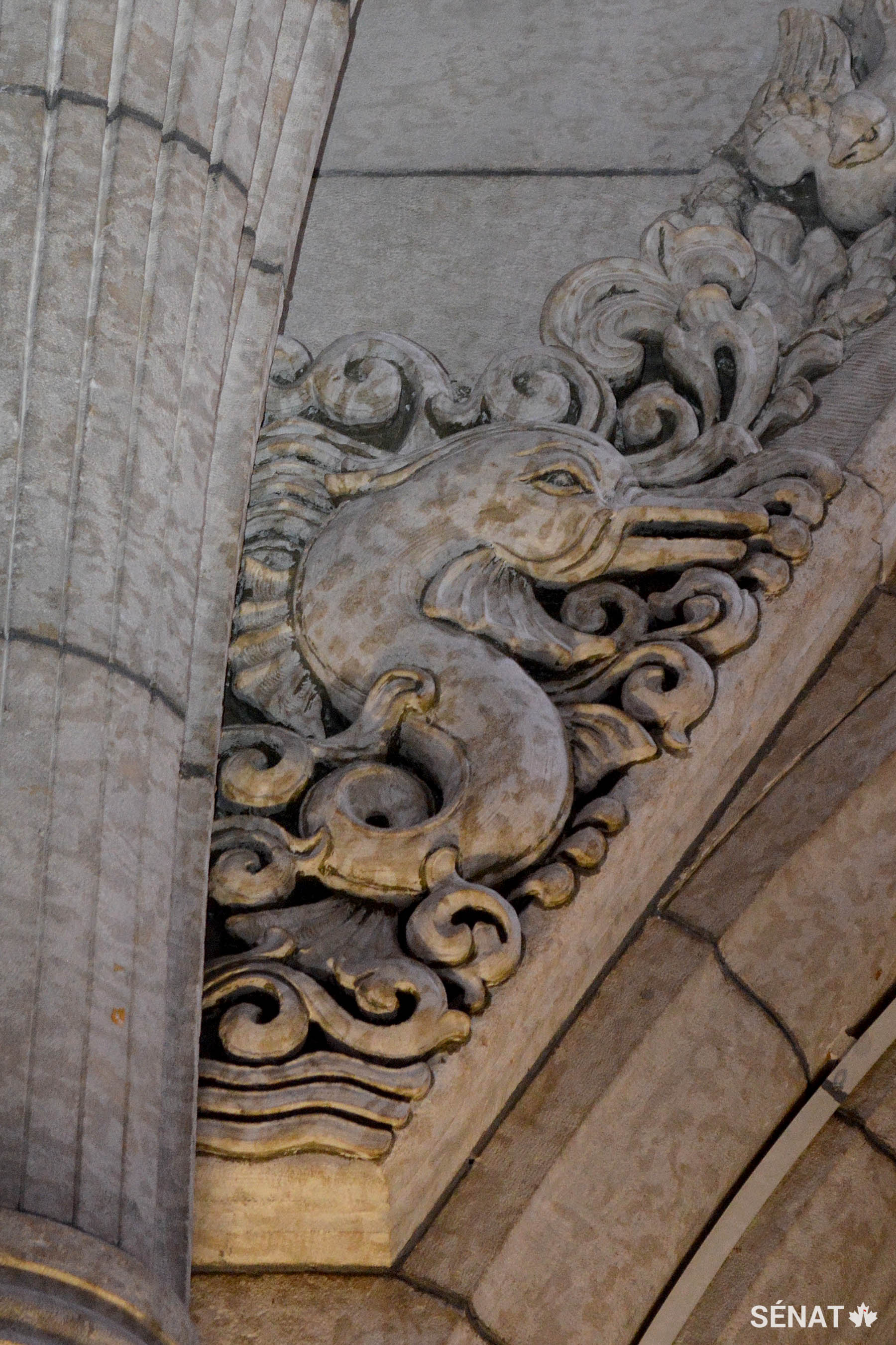 Un dauphin bondit au-dessus des vagues sur le mur situé à l'est du hall de la Confédération.