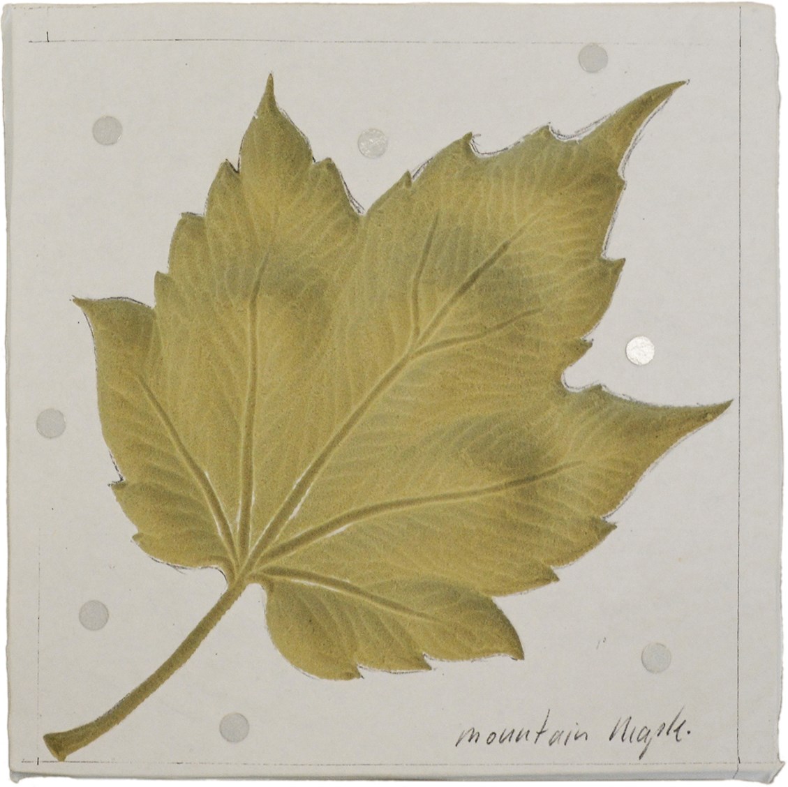 One of a series of maple-leaf emblems that will recur throughout the new Senate chamber when it moves to its temporary location in 2018. This one depicts the mountain maple.