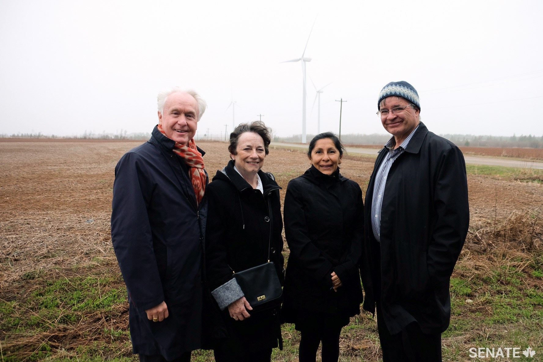 Committee members senators Douglas Black, Diane Griffin, Rosa Galvez and Dennis Patterson take in the Summerside Wind Farm in Prince Edward Island.