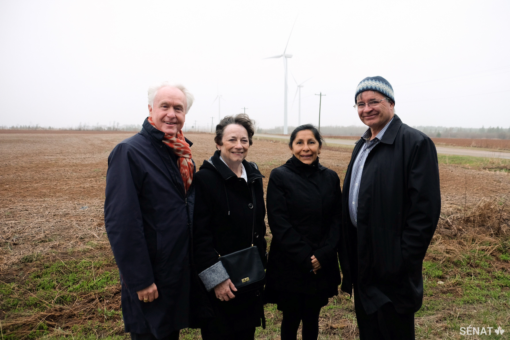 Les sénateurs Douglas Black, Diane Griffin, Rosa Galvez et Dennis Patterson, membres du comité, s’informent sur le parc éolien de Summerside, à l’Île-du-Prince-Édouard.