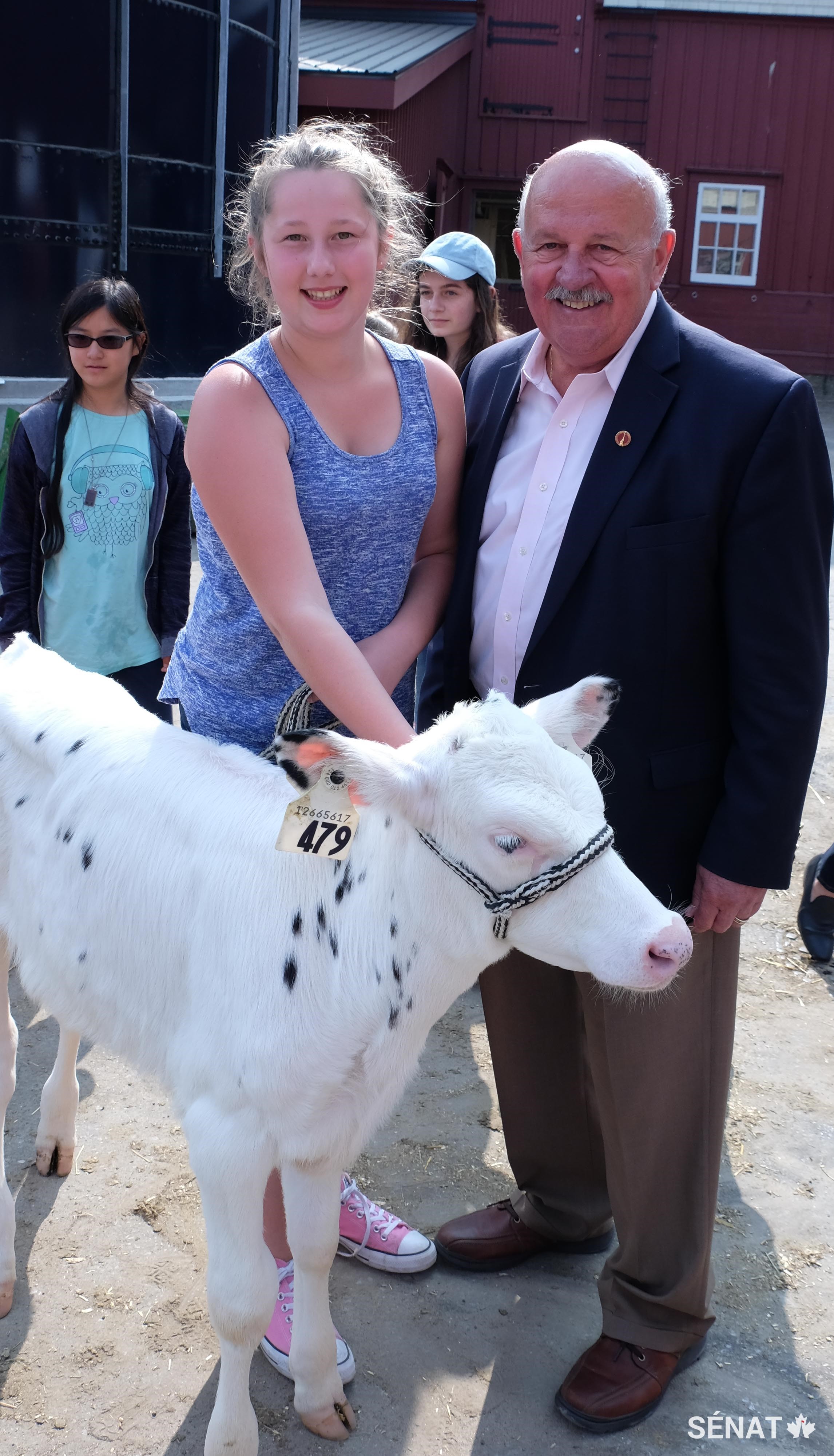 Jasmine MacEwen, participante au camp, avec Piko, le veau qu’elle a adopté pour la semaine. Elle a mentionné au sénateur Mercer qu’elle espère devenir bénévole au Musée de l’agriculture et de l’alimentation du Canada et y travailler comme monitrice de camp.