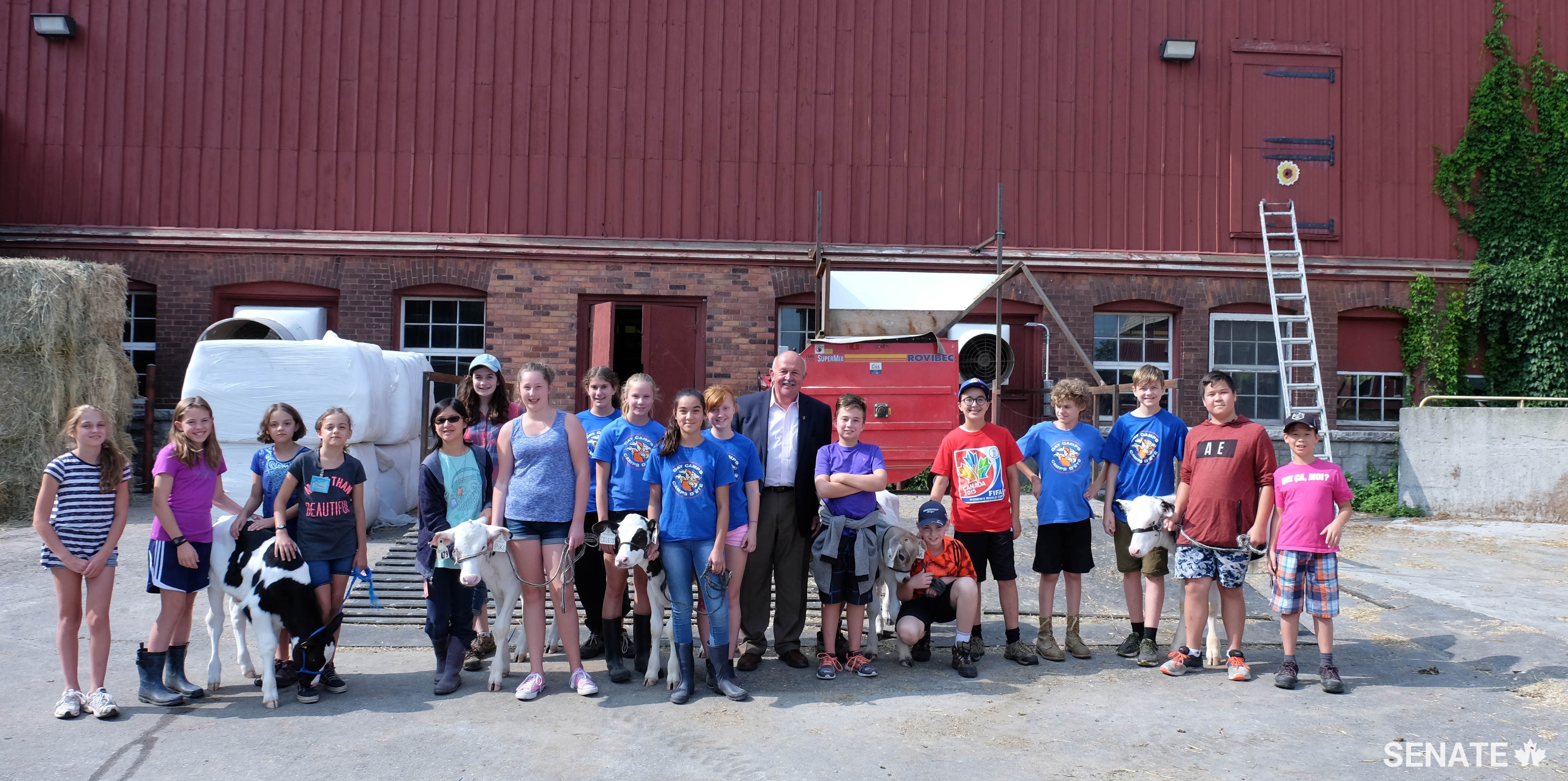 Senator Terry Mercer and the agriculture museum’s junior farmers prepare for the Calf Show.