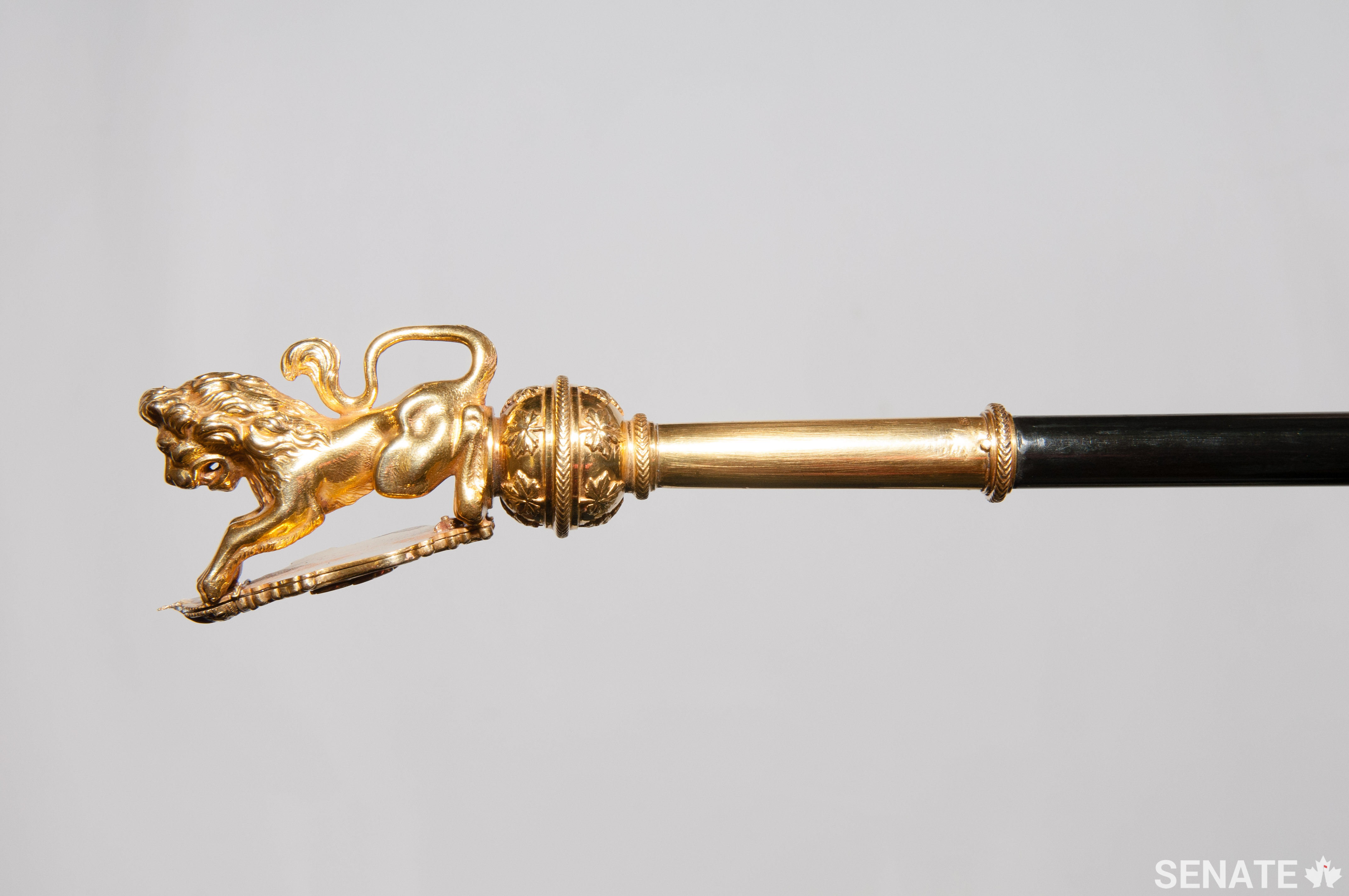 The lion atop the Black Rod stands on its hind legs and holds a shield decorated with a royal cypher.