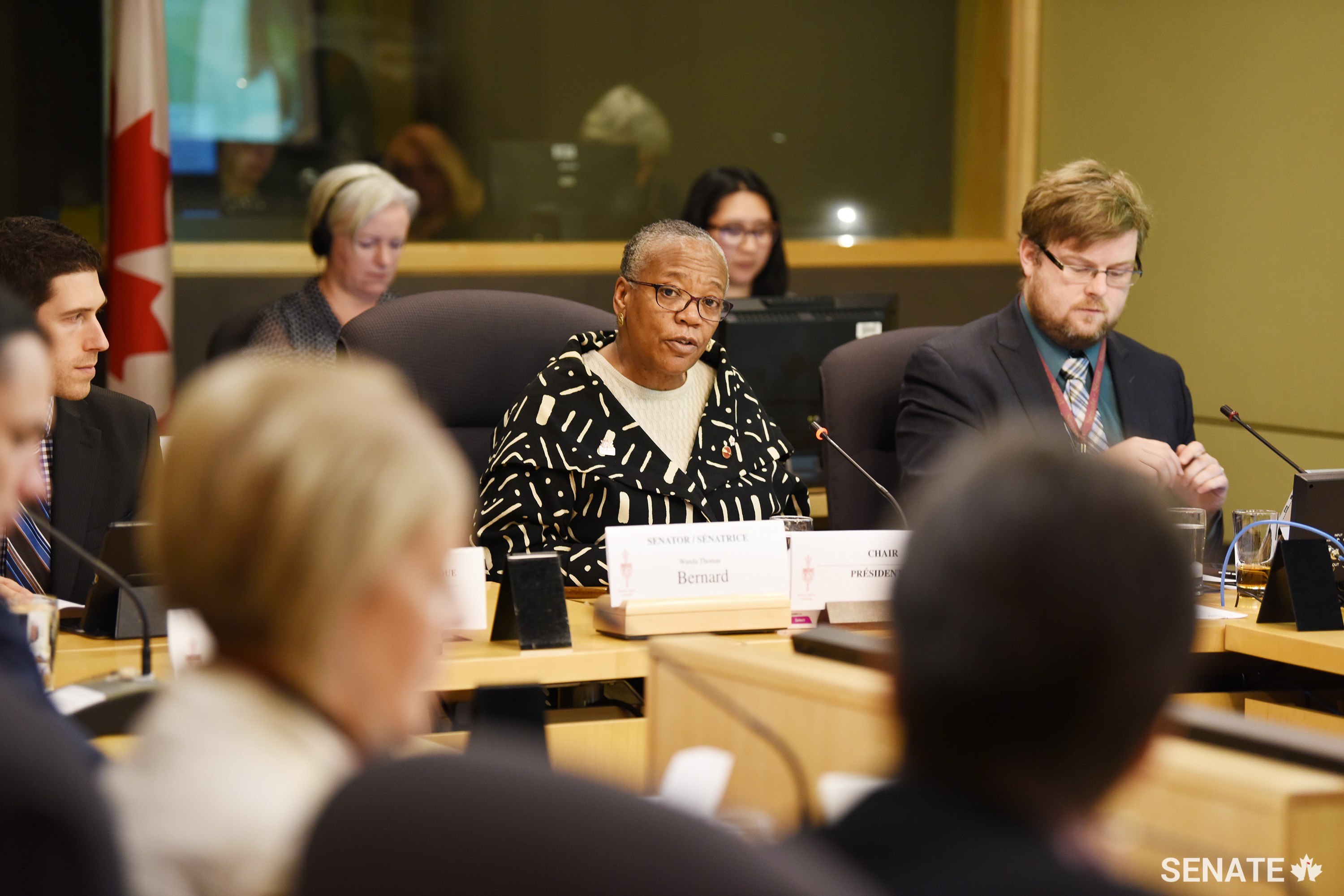 Committee chair Senator Wanda Thomas Bernard tells the Senate Committee on Human Rights that partnerships are needed to combat systemic racism in Canada. The committee devoted its special Black History Month session to the United Nations’ International Decade for People of African Descent.