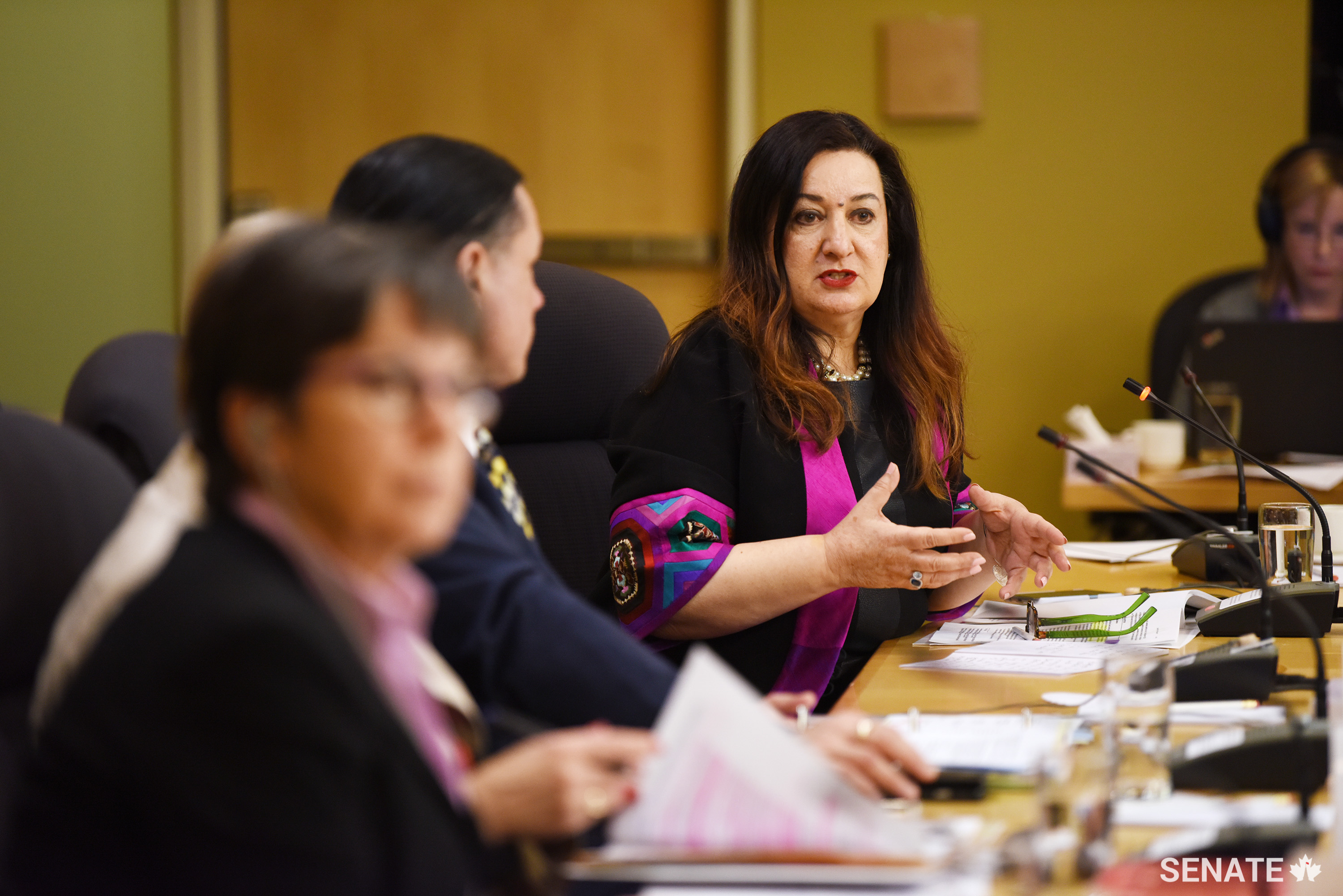 Committee deputy chair Senator Salma Ataullahjan says Canadians need to “change the narrative” around Black history because, despite African cultures being thousands of years old, too many people are not aware of those traditions.