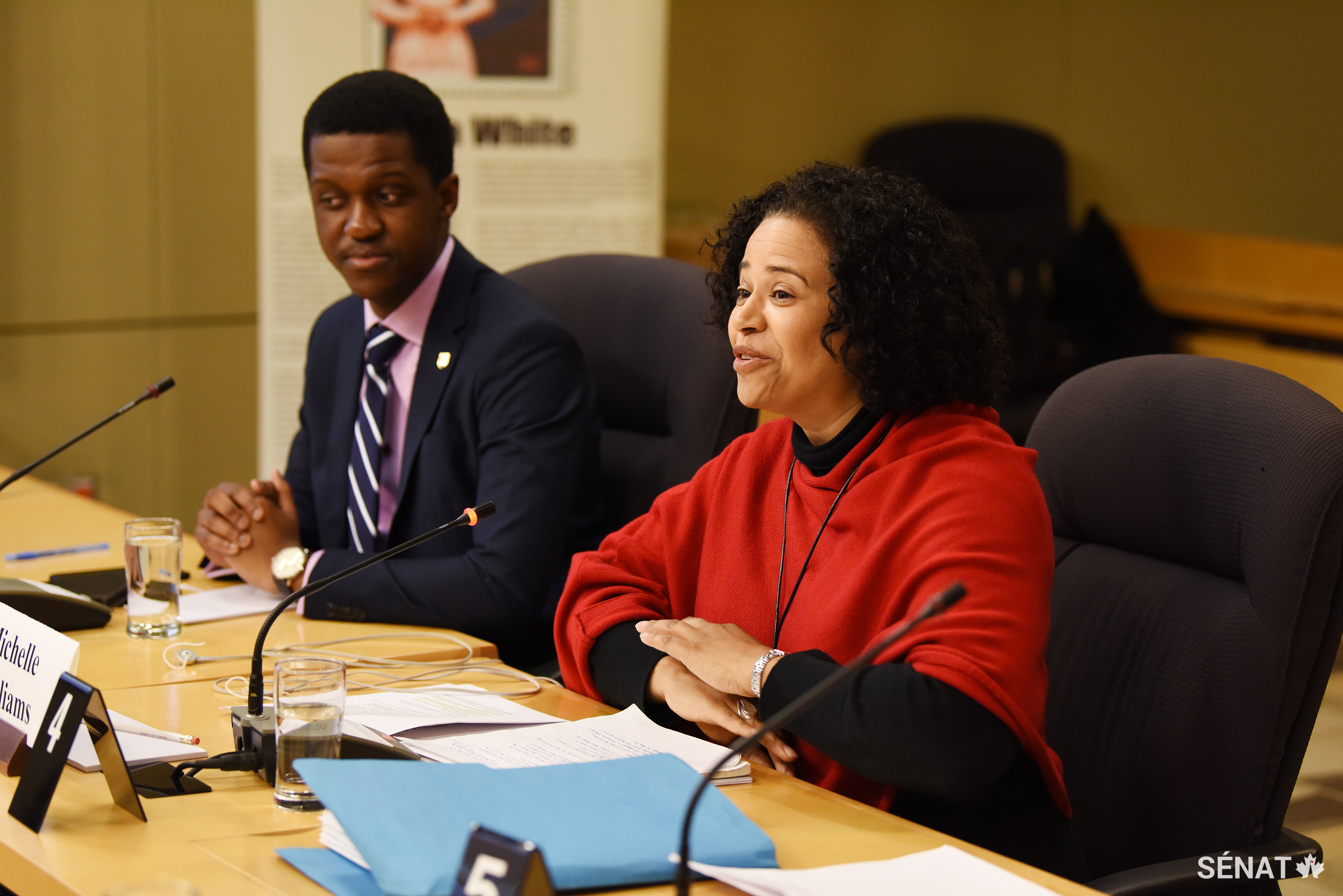 Agang Tema, from the University of British Columbia’s Africa Awareness Initiative, and Michelle Williams, Schulich School of Law professor, testify to the Senate Committee on Human Rights.