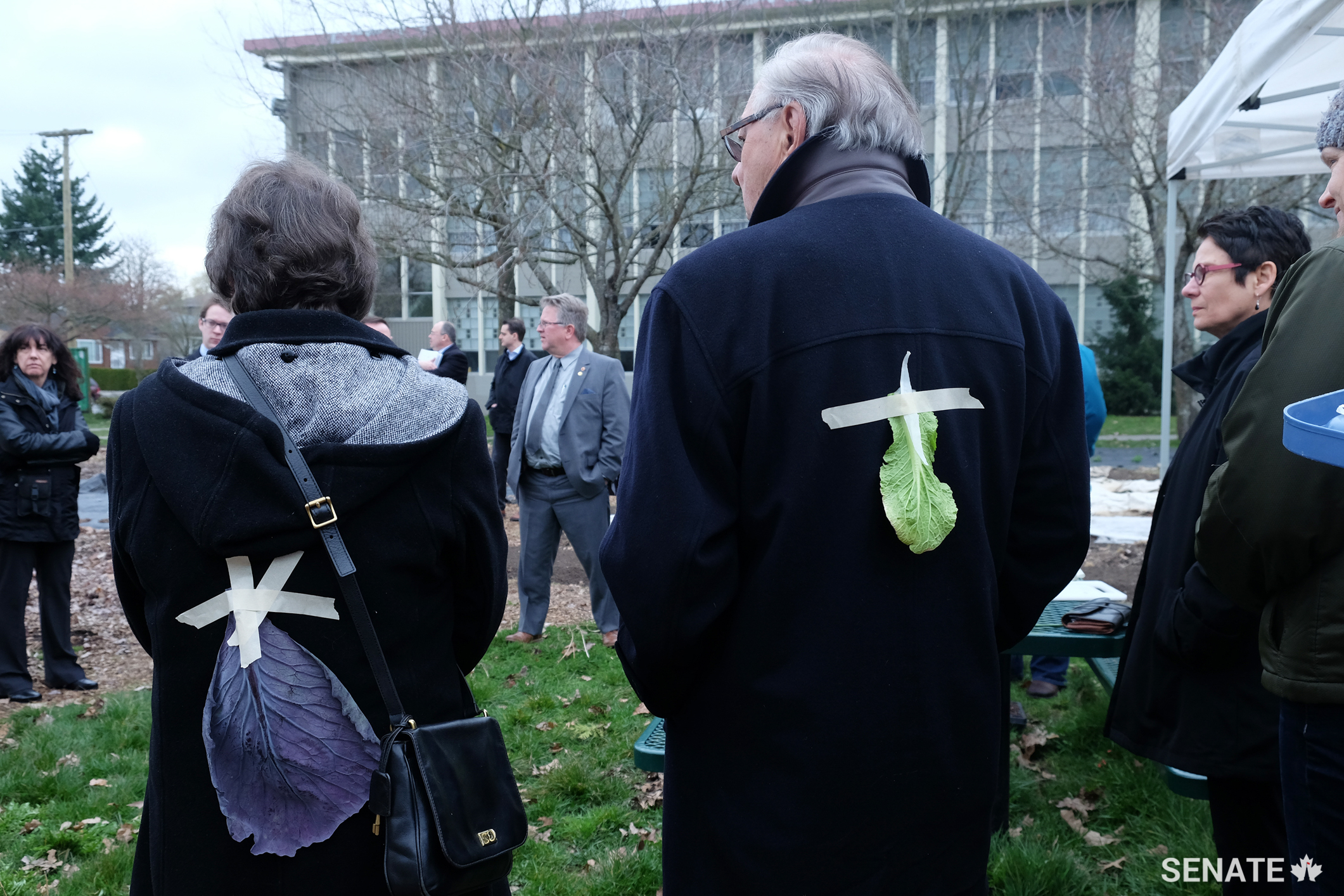Senators play an icebreaker game where participants try to guess which leaf was taped to their backs. Lettuce, kale, baby arugula and purple cabbage are all grown on site at Fresh Roots, a schoolyard market program at David Thompson Secondary School.