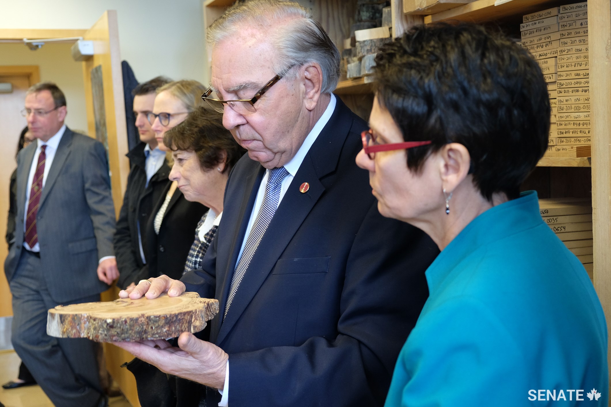 Senator Ghislain Maltais examines a damaged tree sample, while senators Raymonde Gagné and Diane F. Griffin learn about the impact of climate change on forest fire patterns over time.