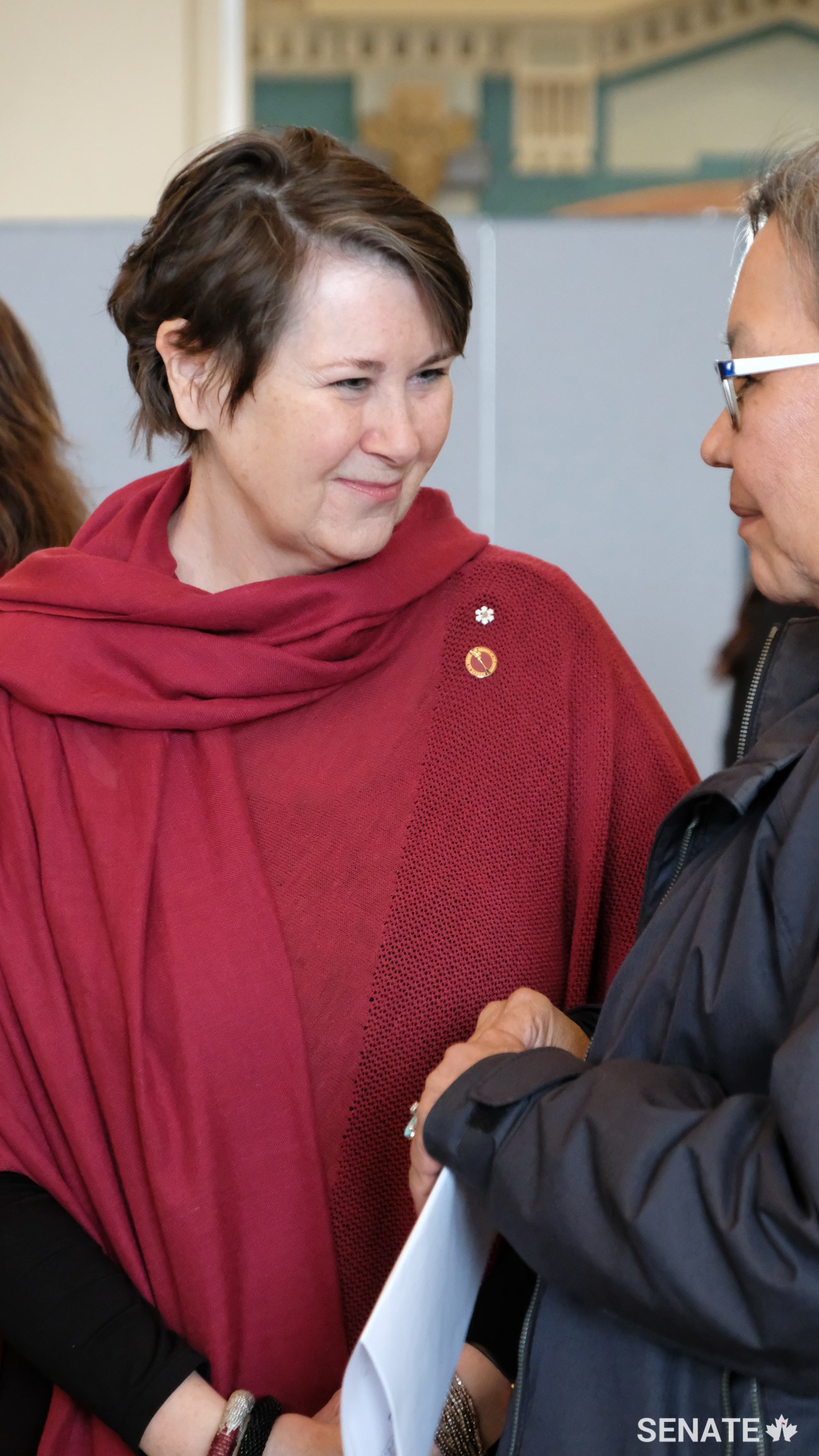 Senator Marilou McPhedran smiles at a witness during a public hearing of the Senate Committee on Aboriginal Peoples in Winnipeg.