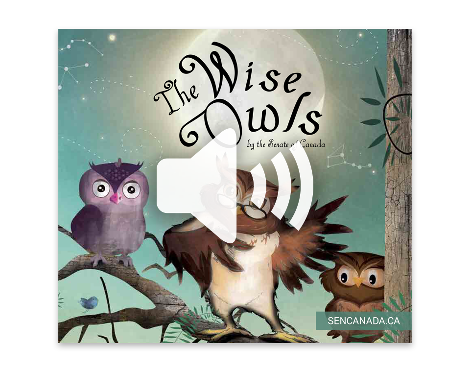 The Wise Owl audio book