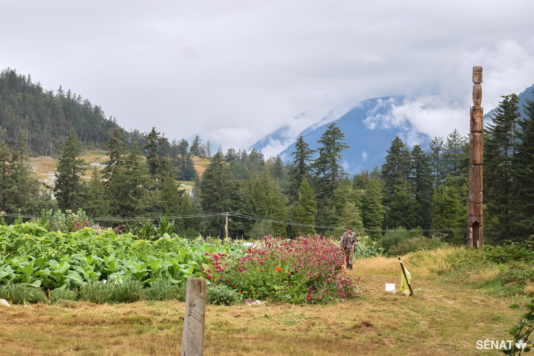 <em>Emma’s Acres</em> est une entreprise agricole sociale où les victimes et les personnes reconnues coupables de crimes violents travaillent côte à côte dans une ferme de 3,2 hectares. Les légumes cultivés là sont vendus à des marchés fermiers ou remis en dons aux familles des victimes d’homicide.