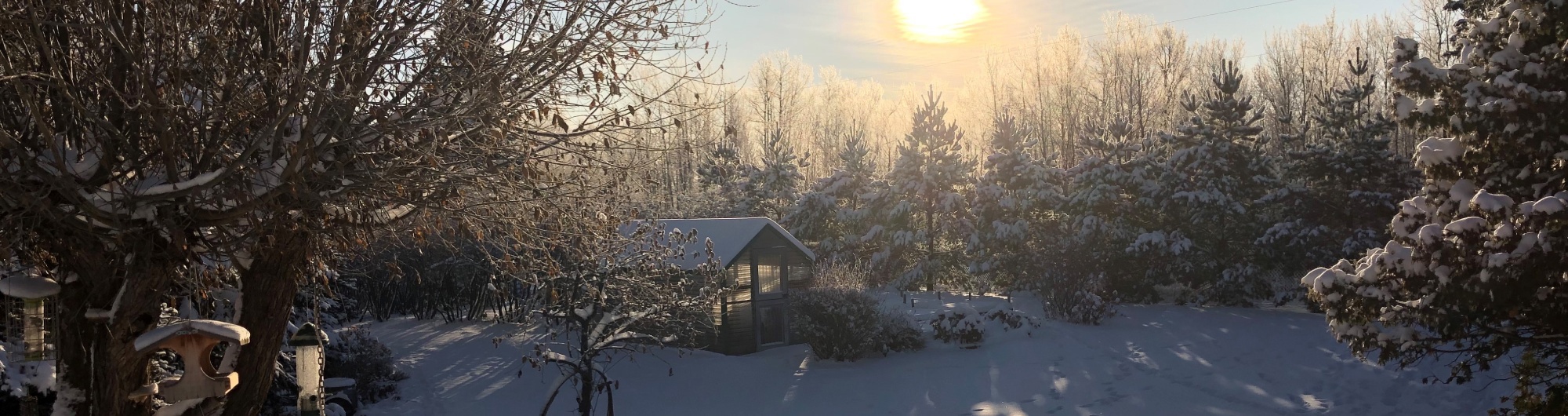 Patti LaBoucane-Benson Logo