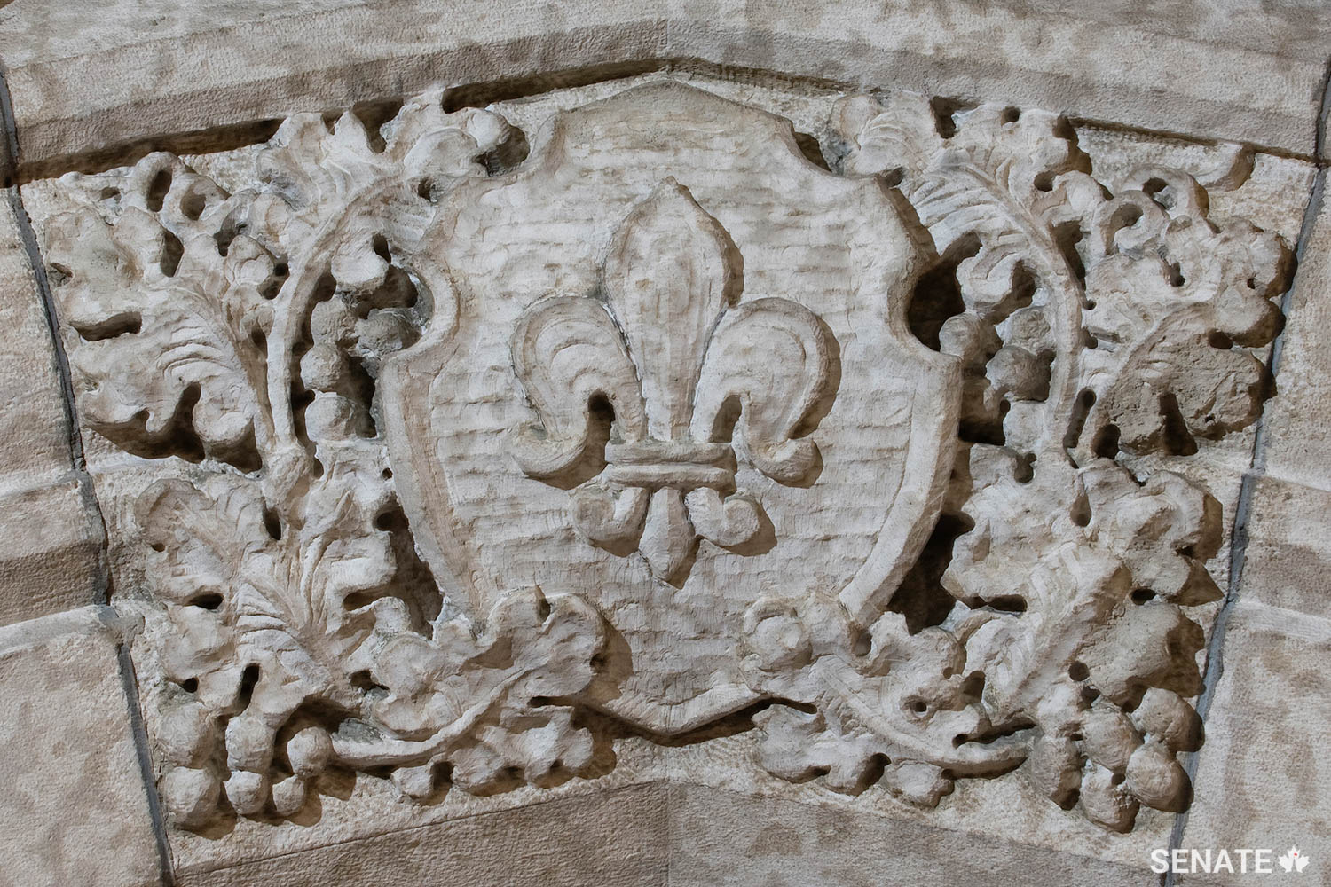 A fleur-de-lis forms part of an arch in the Senate foyer.