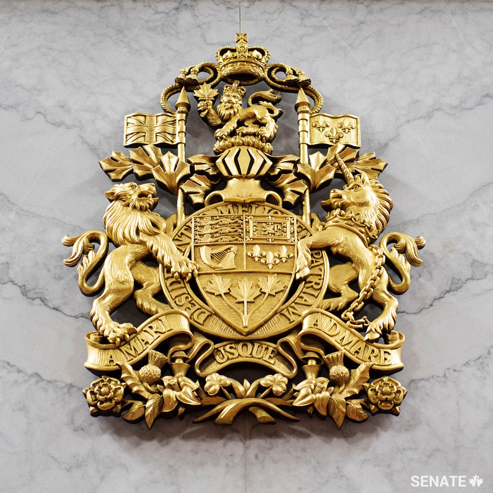 Dominion Sculptor Phil White’s metre-high carving of the current version of the Arms of Canada, approved by Queen Elizabeth II in 1994, includes a circlet bearing the motto of the Order of Canada.
