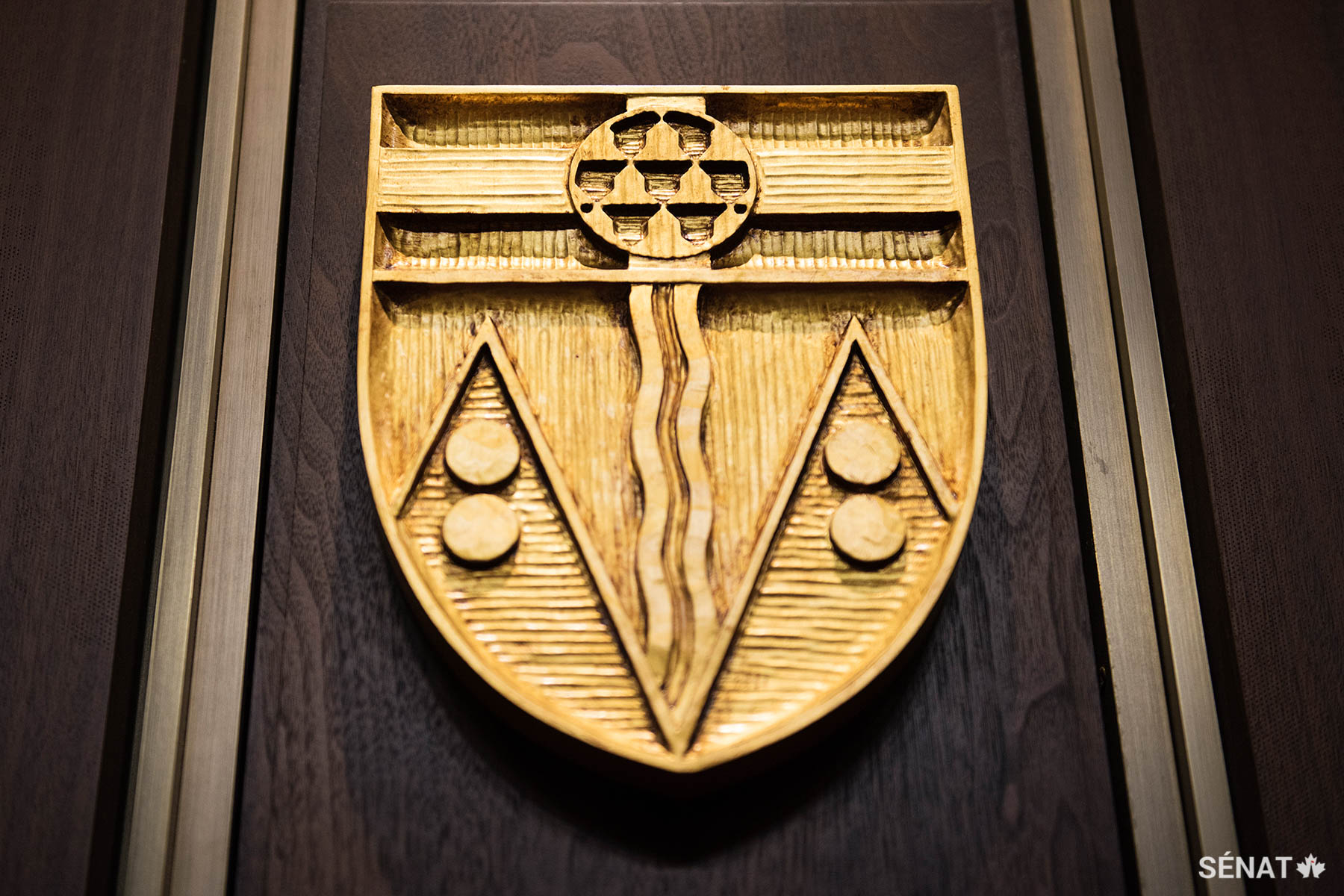 La partie inférieure de l’écu du Yukon représente les montagnes de ce territoire. Des disques d’or évoquent ses richesses minérales ainsi que sa fondation au moment de la ruée vers l’or du Klondike. Dans le haut de l’écu se trouve un médaillon qui arbore un motif héraldique particulier appelé vair, symbole de l’importance de la traite des fourrures pour l’économie du territoire.