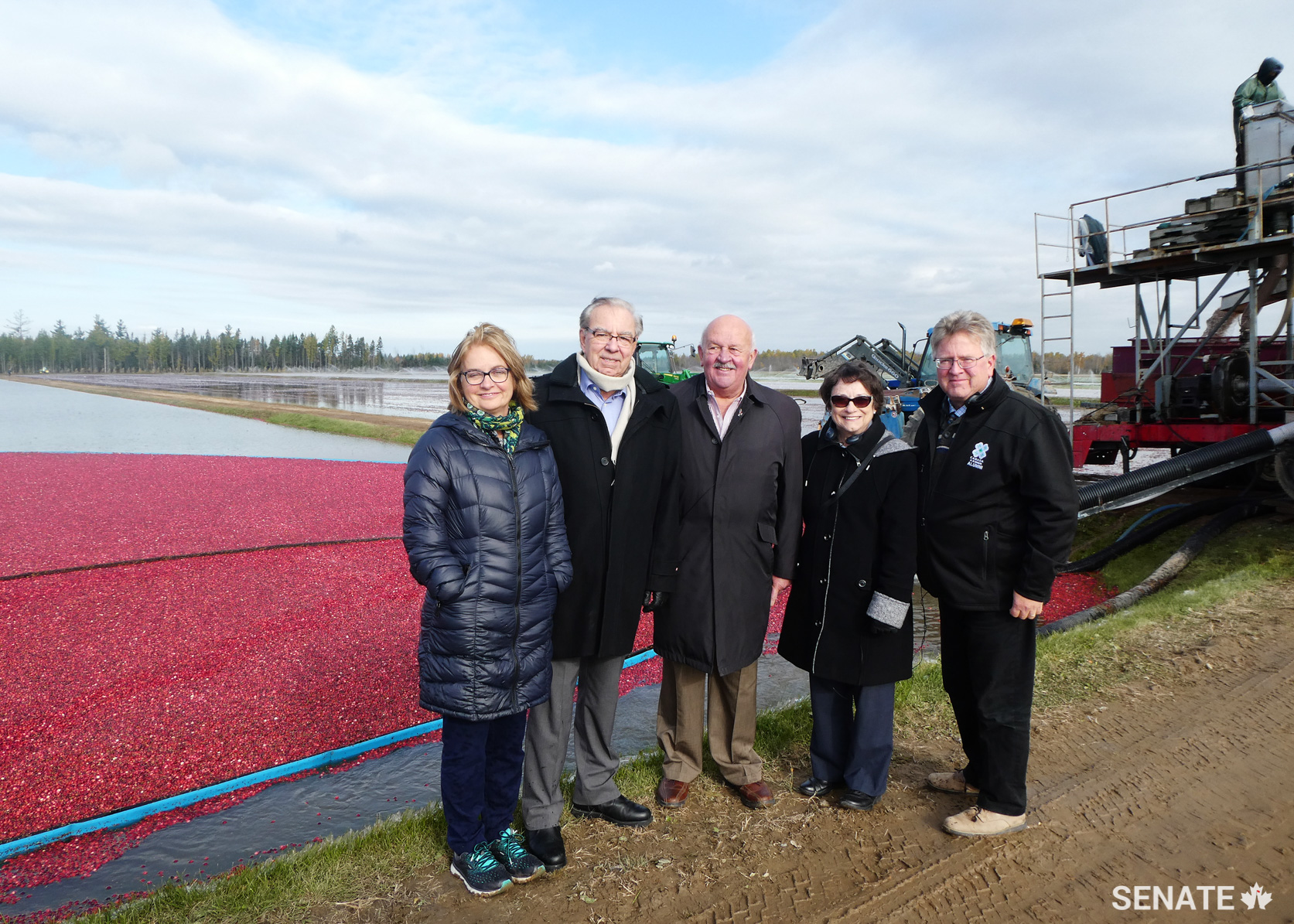 Senators Julie Miville-Dechêne, Ghislain Maltais, Terry Mercer, Diane Griffin and Robert Black visit the cranberry fields of the world’s largest organic cranberry producer, Fruit d’Or.