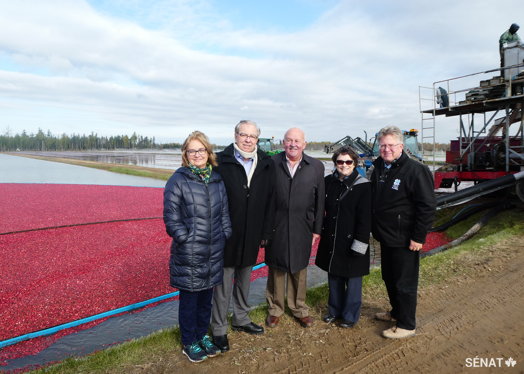 Les sénateurs Julie Miville-Dechêne, Ghislain Maltais, Terry Mercer, Diane Griffin et Robert Black visitent les champs de canneberges de Fruit d’Or, le plus grand producteur de canneberges biologiques du monde.