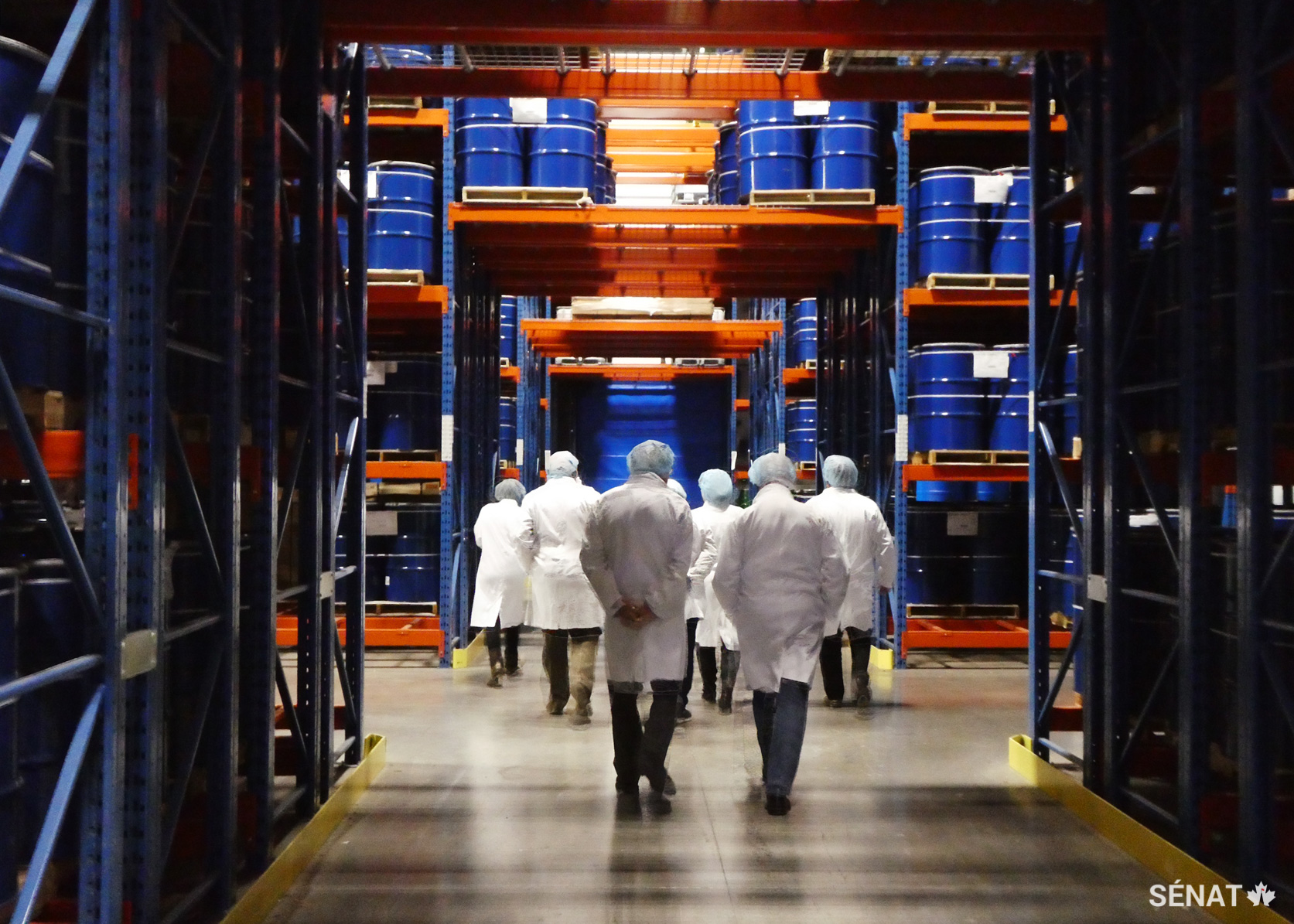 Les membres du Comité sénatorial de l’agriculture et des forêts visitent une usine de sirop d’érable à Plessisville, au Québec, où le sirop est maintenu au frais dans d’énormes cuves réutilisables. La coopérative Citadelle exporte son sirop d’érable vers 45 pays, sur 5 continents.