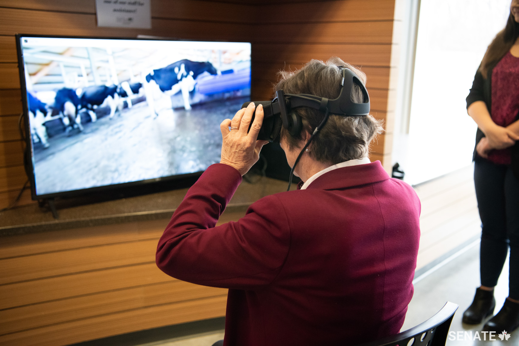 Senator Diane Griffin tests a virtual reality headset that immerses the user in the reality of a farm. It demonstrates the various stages in the development of processed food products.
