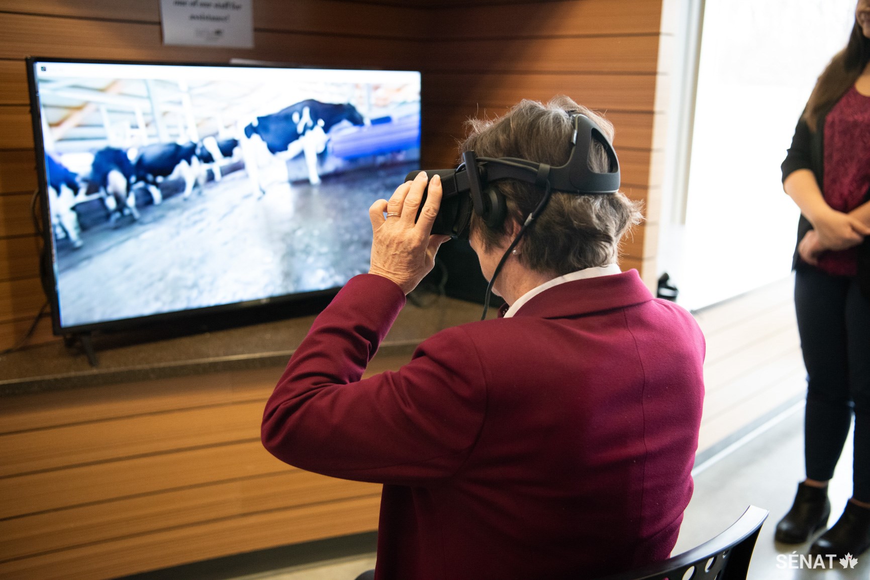 La sénatrice Diane Griffin fait l’essai d’un casque de réalité virtuelle qui la plonge dans la réalité d’une ferme et la guide à travers les différentes étapes dans l’élaboration de produits alimentaires transformés.