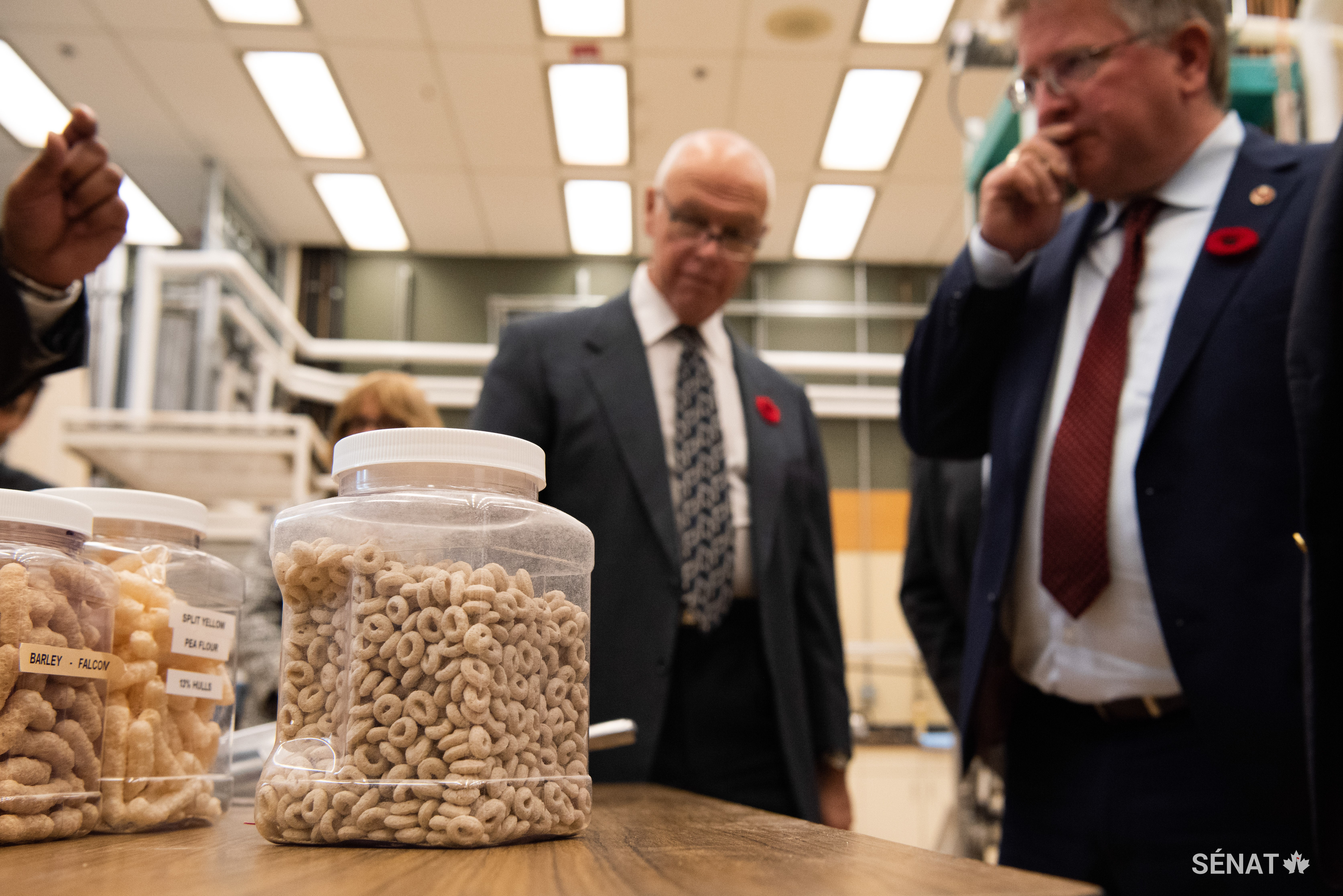 Les grains canadiens permettent de créer une variété de produits. Reconnaissez-vous certaines de ces formes?