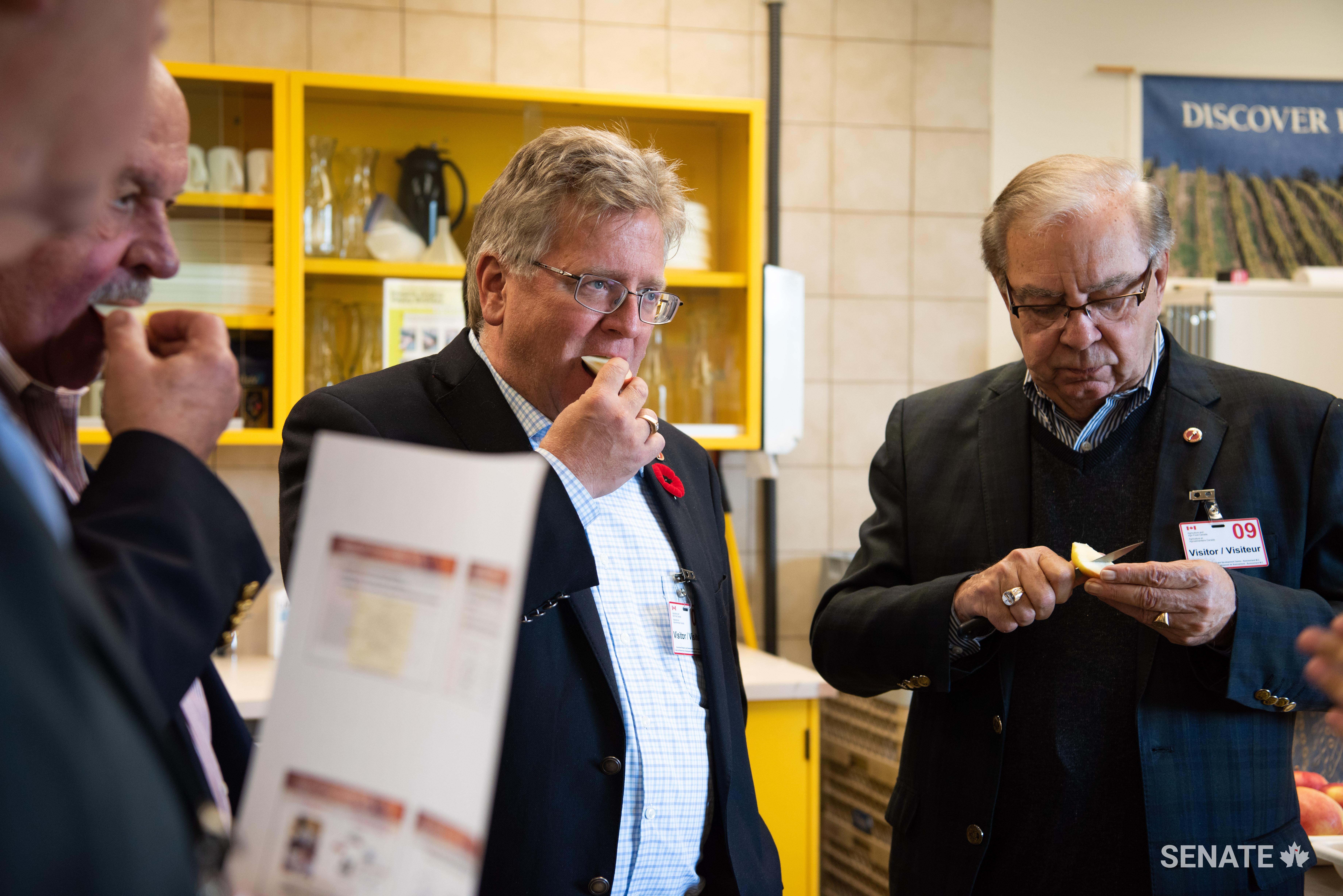 Senators Mercer, Black and Maltais taste a new variety of apple, the 1080, which is not yet on the market. It is resistant to browning and is currently being taste-tested, as are several other new varieties of apple at the Summerland research centre.