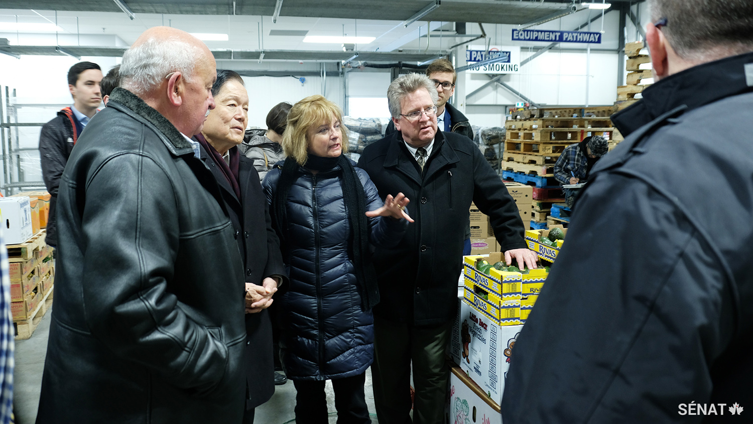 Les membres du Comité sénatorial de l’agriculture et des forêts se renseignent sur la façon dont les prix des produits frais sont établis grâce à un marché libre au Marché des produits alimentaires de l’Ontario. Plus de 5 000 acheteurs s’y procurent leurs fruits et légumes frais.
