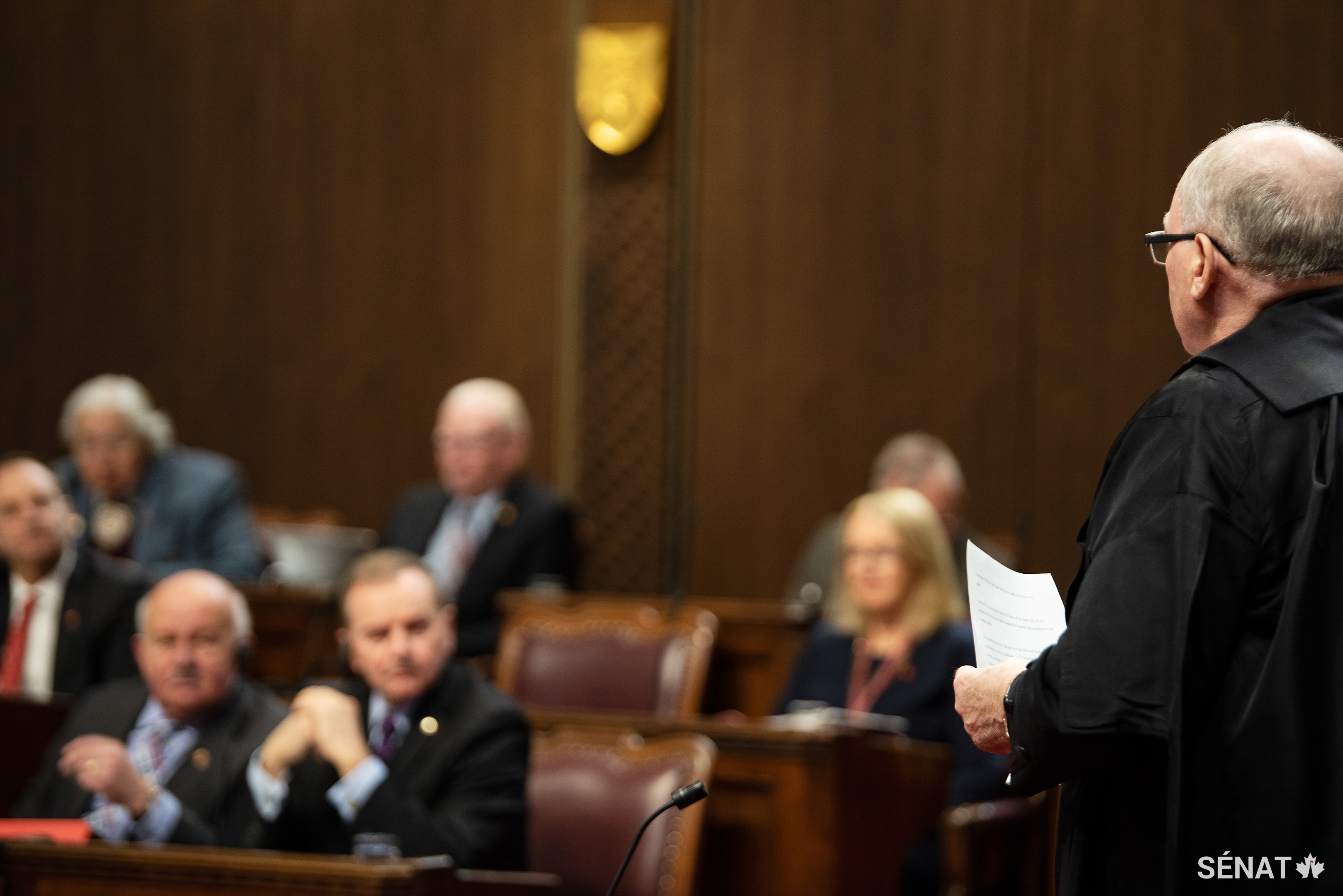 Il faut un quorum de 15 sénateurs, Président y compris, pour que le Sénat puisse siéger et accomplir ses travaux.