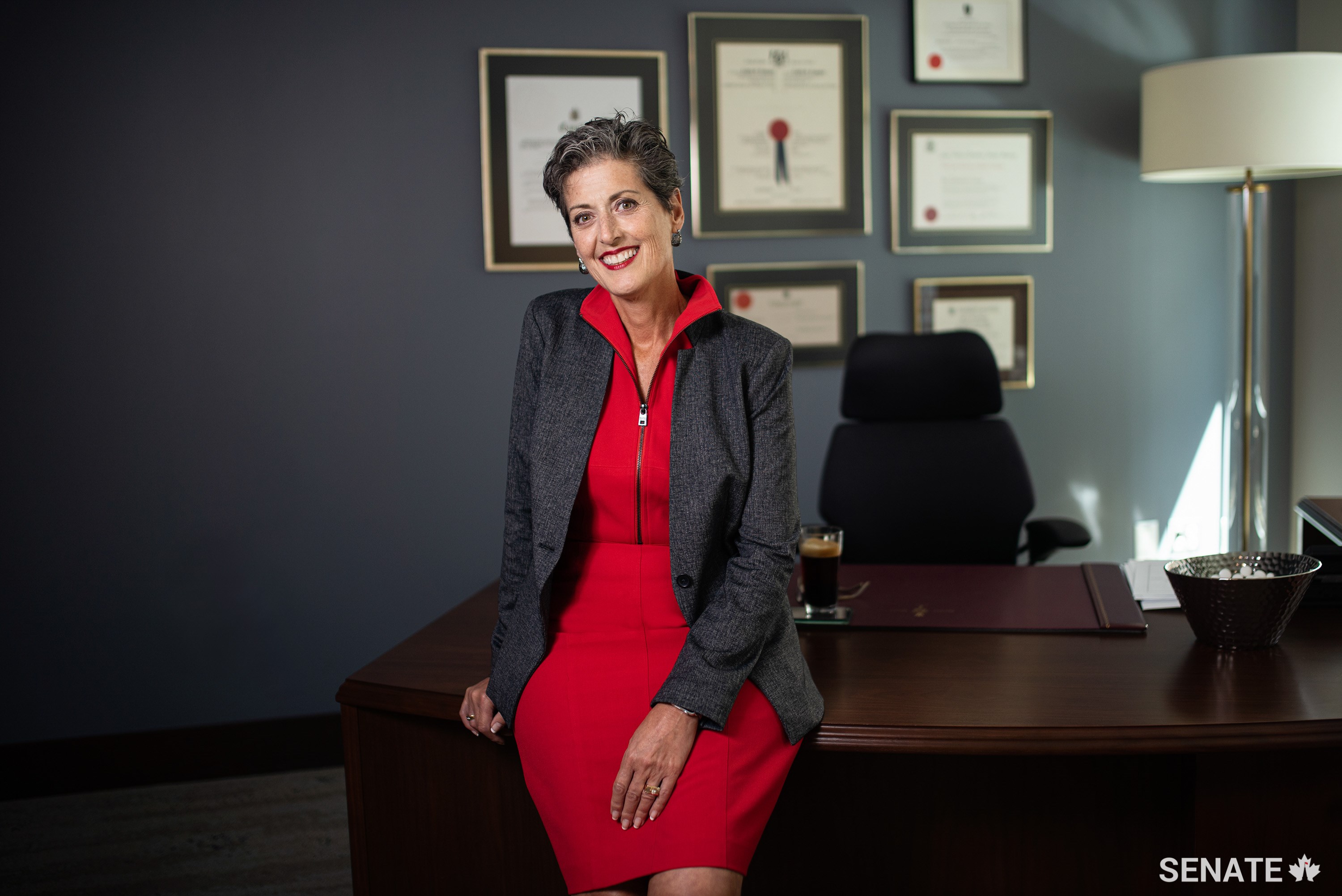 Senator Josée Forest-Niesing was inducted into the University of Ottawa’s Common Law Honour Society in 2013. She was also appointed to the Ontario Arts Council in 2018.