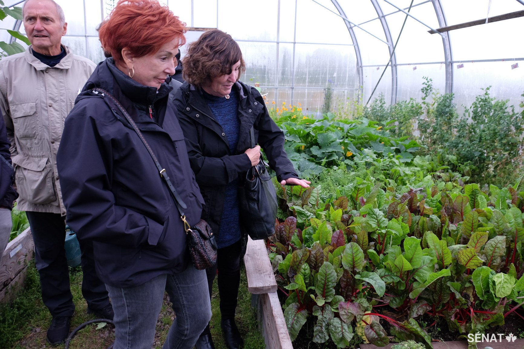 La sénatrice Eaton, au centre, visite une serre à Kuujjuaq, au Québec, en compagnie du sénateur Joseph A. Day et de la sénatrice Mary Coyle, le 7 septembre 2018, pendant une mission d’étude du Comité sénatorial spécial sur l’Arctique dans le Nord du Canada.