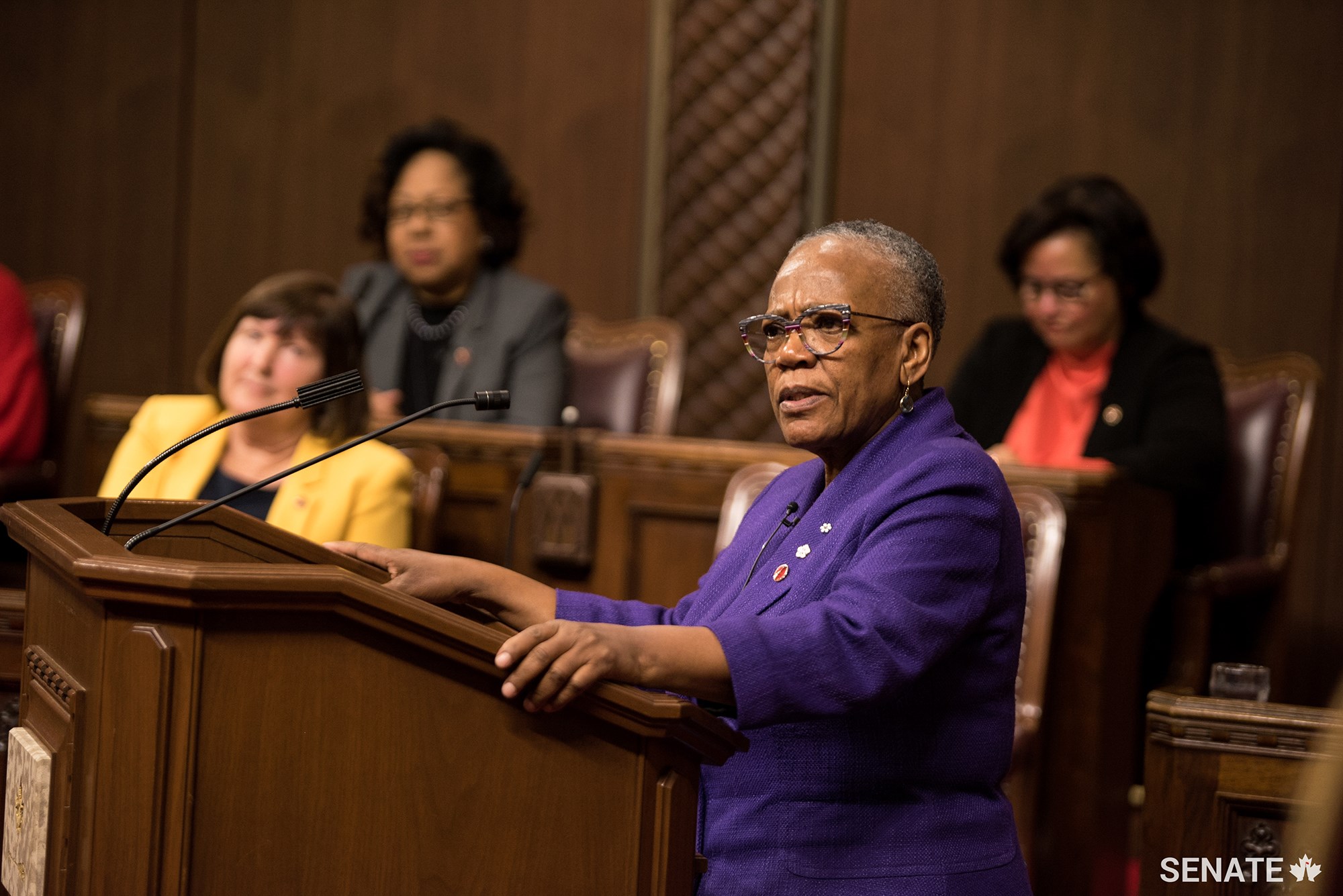 Senator Wanda Thomas Bernard described Black History Month as “a time to honour, reflect and then commit to action.” She said advocating for equality can be demanding but that she takes “strength from our ancestors, knowing how much they did with how little they had.” “We can all do something,” she added. “What actions will you take?”