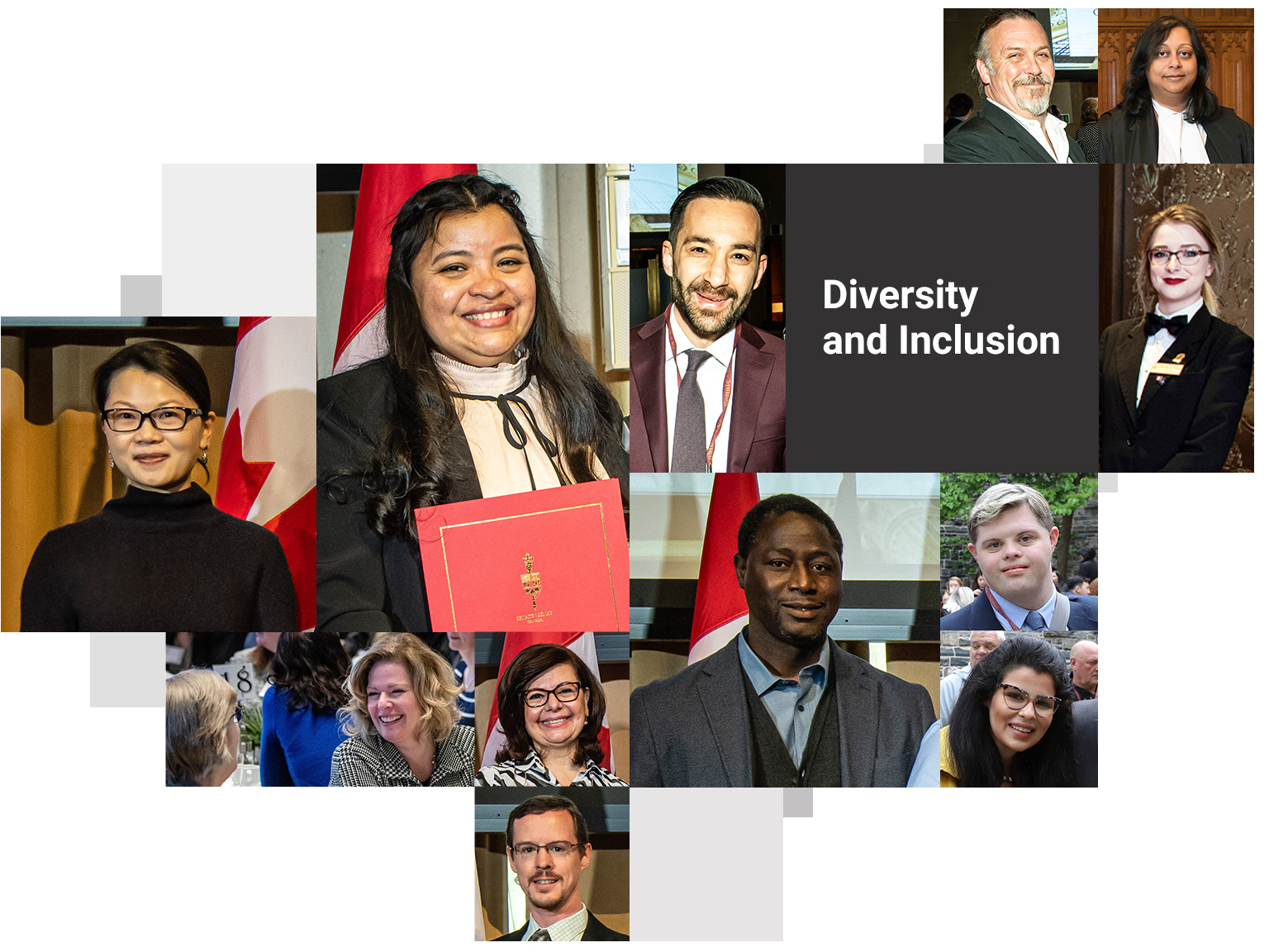 Diversity and inclusion