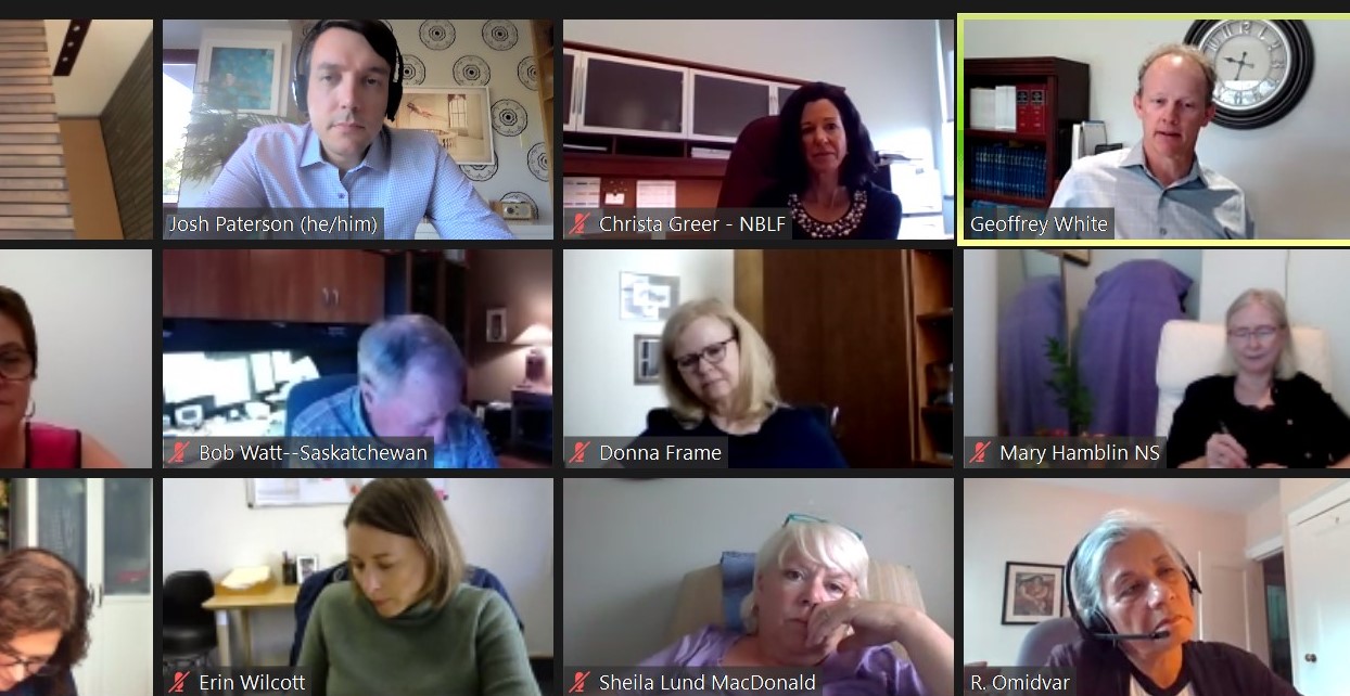 Thursday, September 10, 2020 — Senator Ratna Omidvar (bottom right) speaks at the national meeting of the Law Foundation of Canada on racial equity and justice in the justice sector.