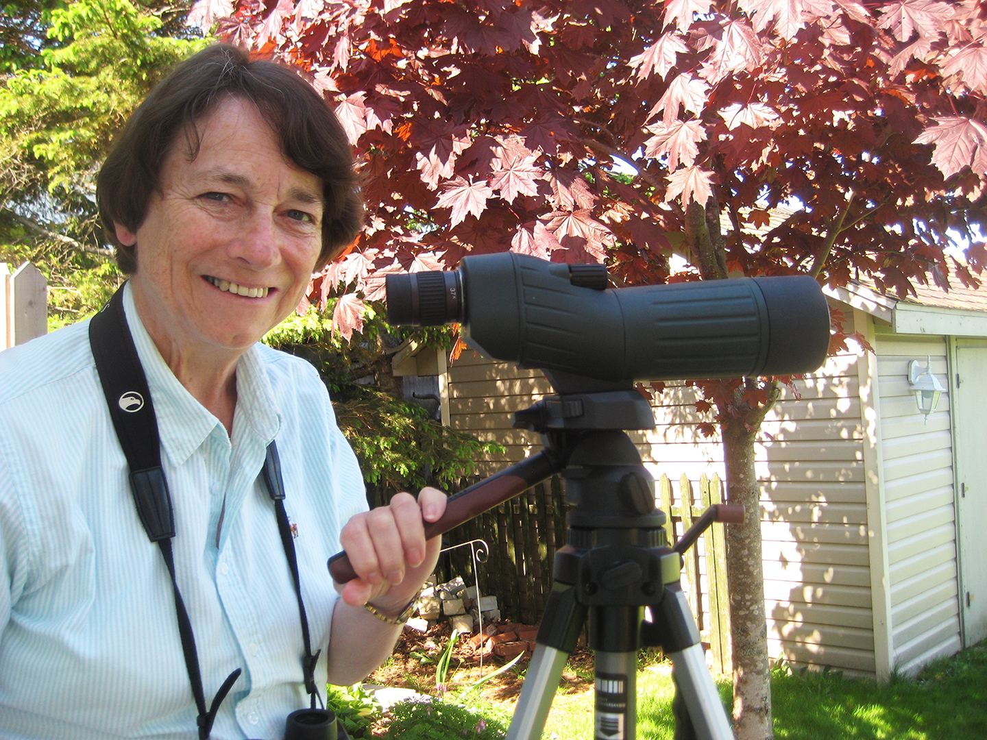 As an avid birdwatcher, Senator Diane Griffin often follows waterfowl and shorebird migrations from her backyard overlooking the Hillsborough River in Stratford, P.E.I.