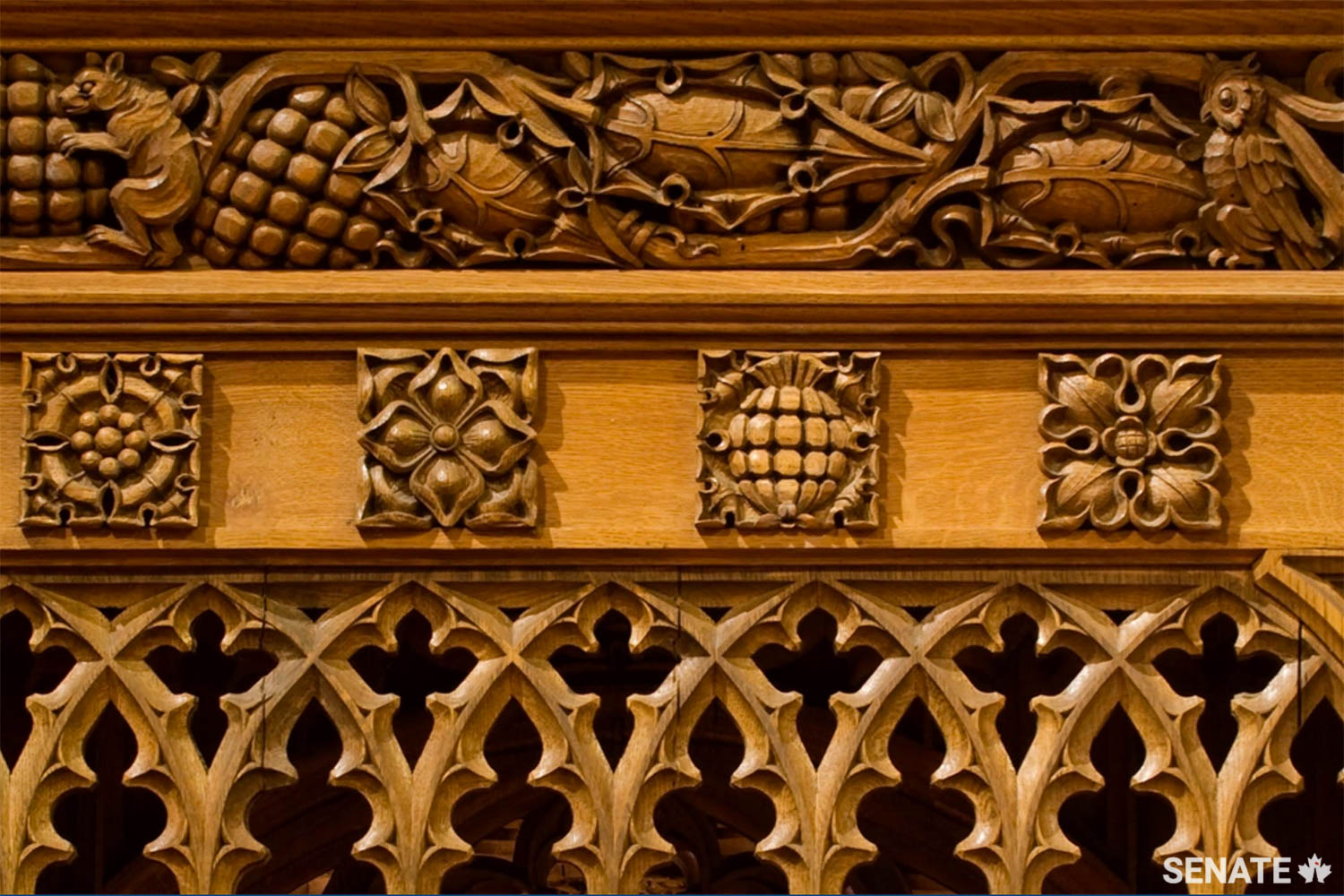 Elzéar Soucy’s team carved the ornamental wainscotting that surrounds the Senate Chamber. The sculptors carved with medieval flourish while showcasing Canadian plants and animals such as maple leaves, squirrels and owls.