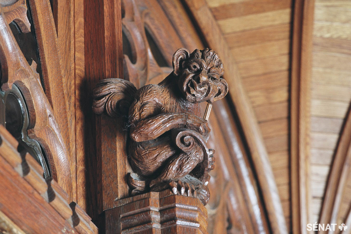 Parchemin et plume à la main, cette grotesque de chêne monte la garde à l’entrée de la Chambre du Sénat dans l’édifice du Centre.