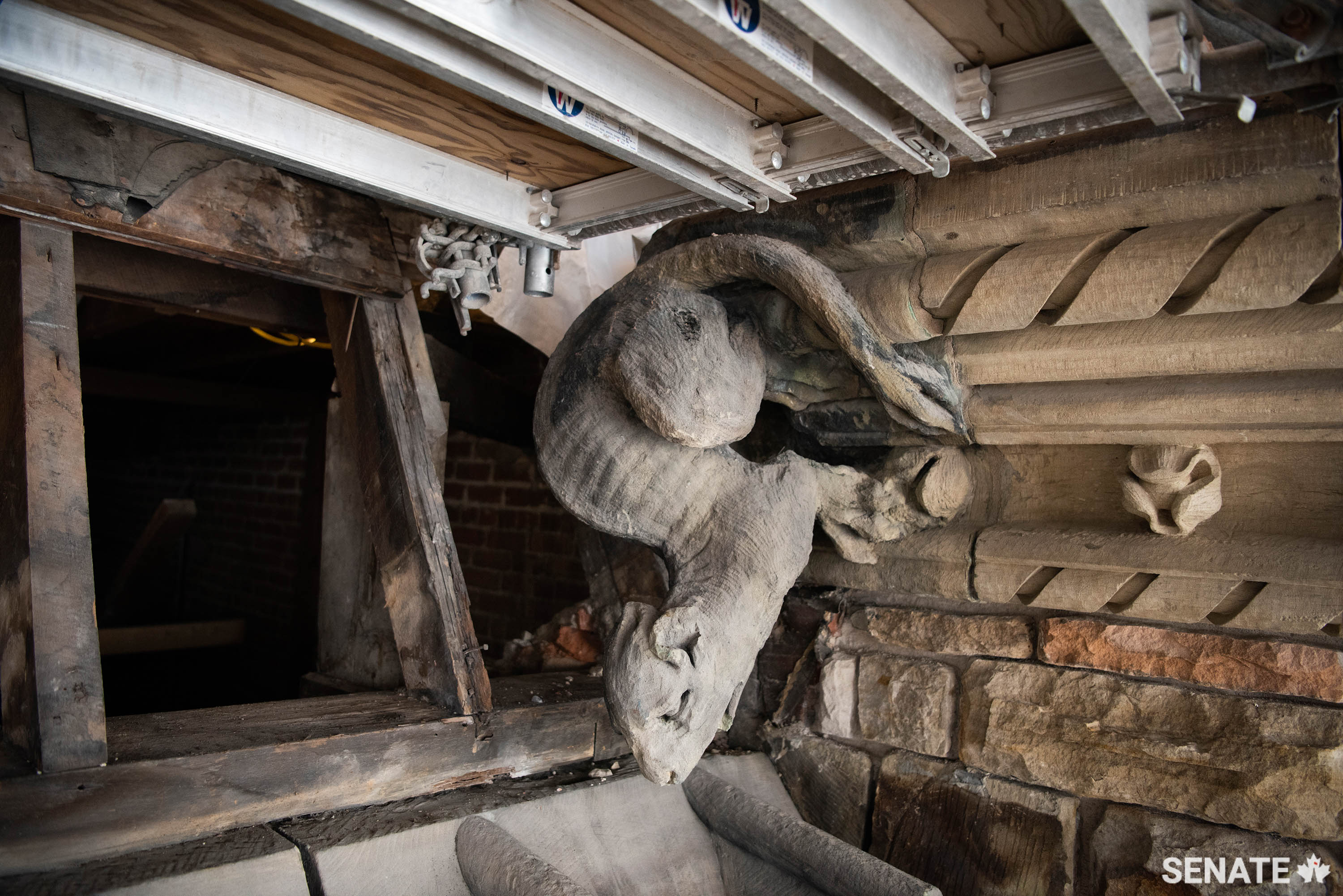 This <a href='https://sencanada.ca/en/sencaplus/how-why/gargoyles-and-grotesques-parliament-hills-sinister-sentinels/' target='_blank'>grotesque</a> on East Block is one of hundreds of exterior sculptures on Parliament Hill slated for rejuvenation in the next few years.