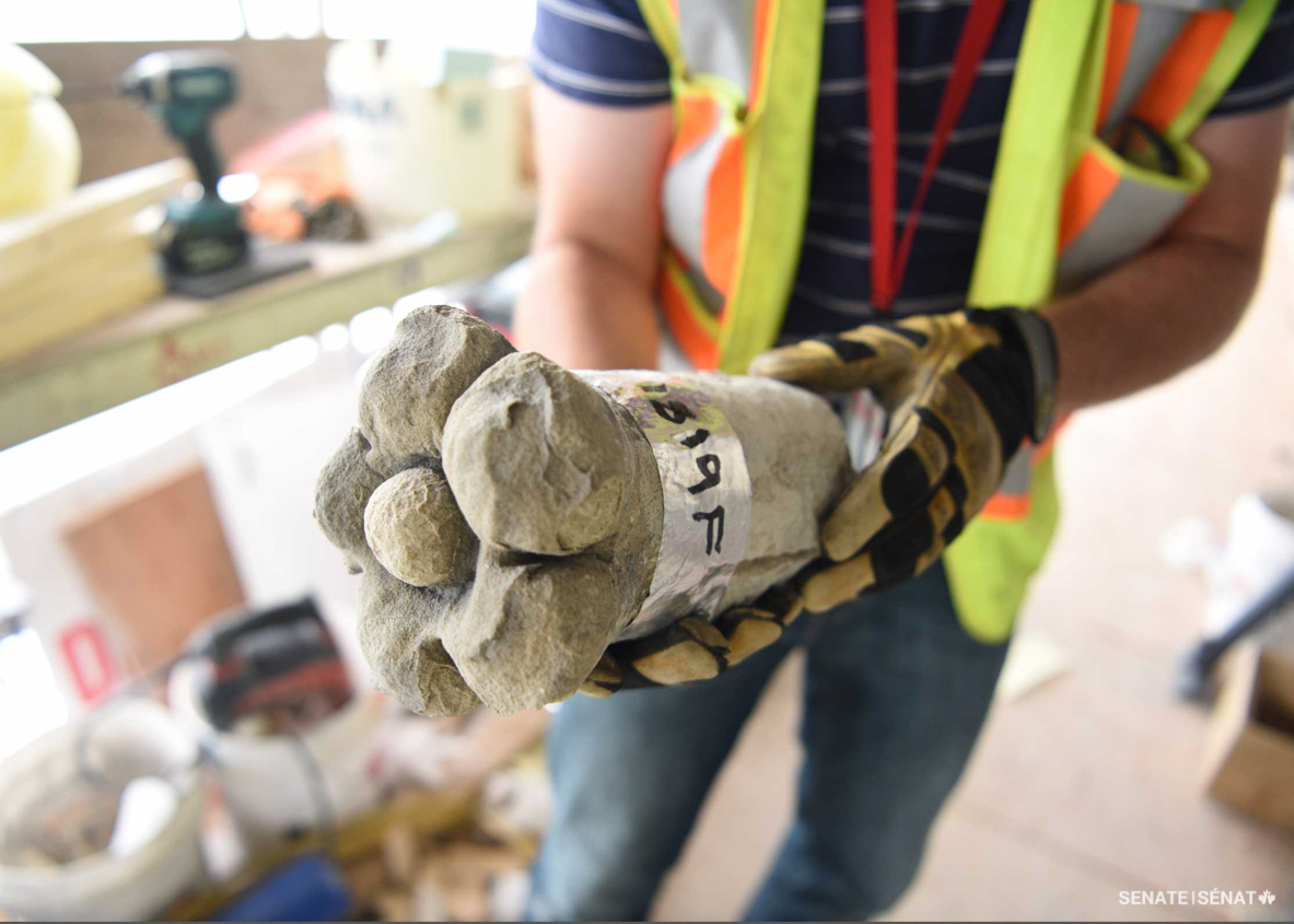 A few dozen stone flowers adorn the masonry of East Block’s west entrance, an area known as the governor general’s entrance. Most of the flowers are carved into a piece of stone, but some are inserted in the space — or joints — in between two large stones.