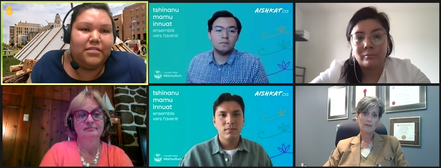 Gabrielle Vachon-Laurent (top left) shares her perspective with Senators Julie Miville-Dechêne (bottom left) and Josée Forest-Niesing (bottom right).