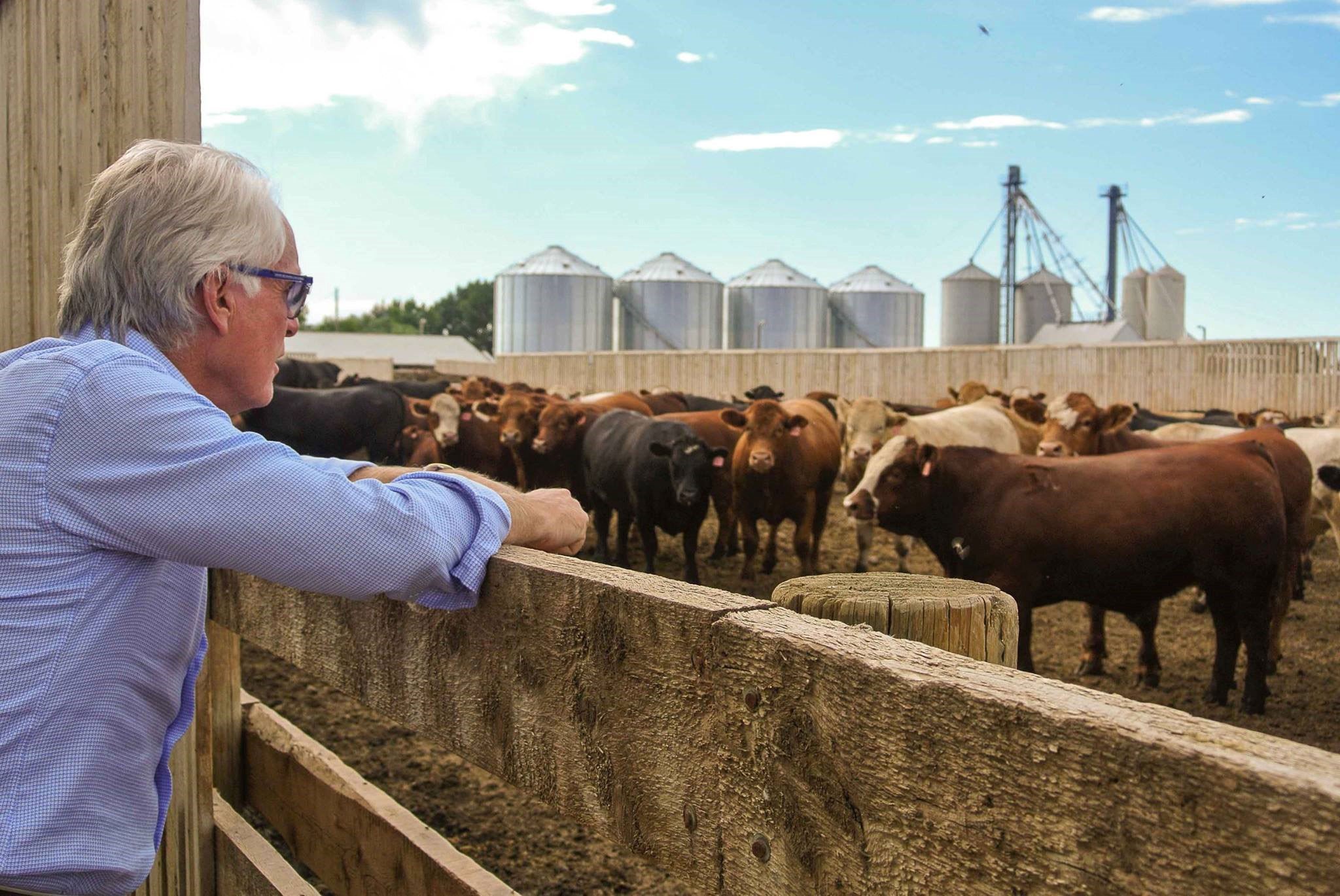 Le sénateur Black en visite dans une ferme d’élevage située à quelques kilomètres au sud est de Lethbridge, pendant une tournée du Sud de l’Alberta.  