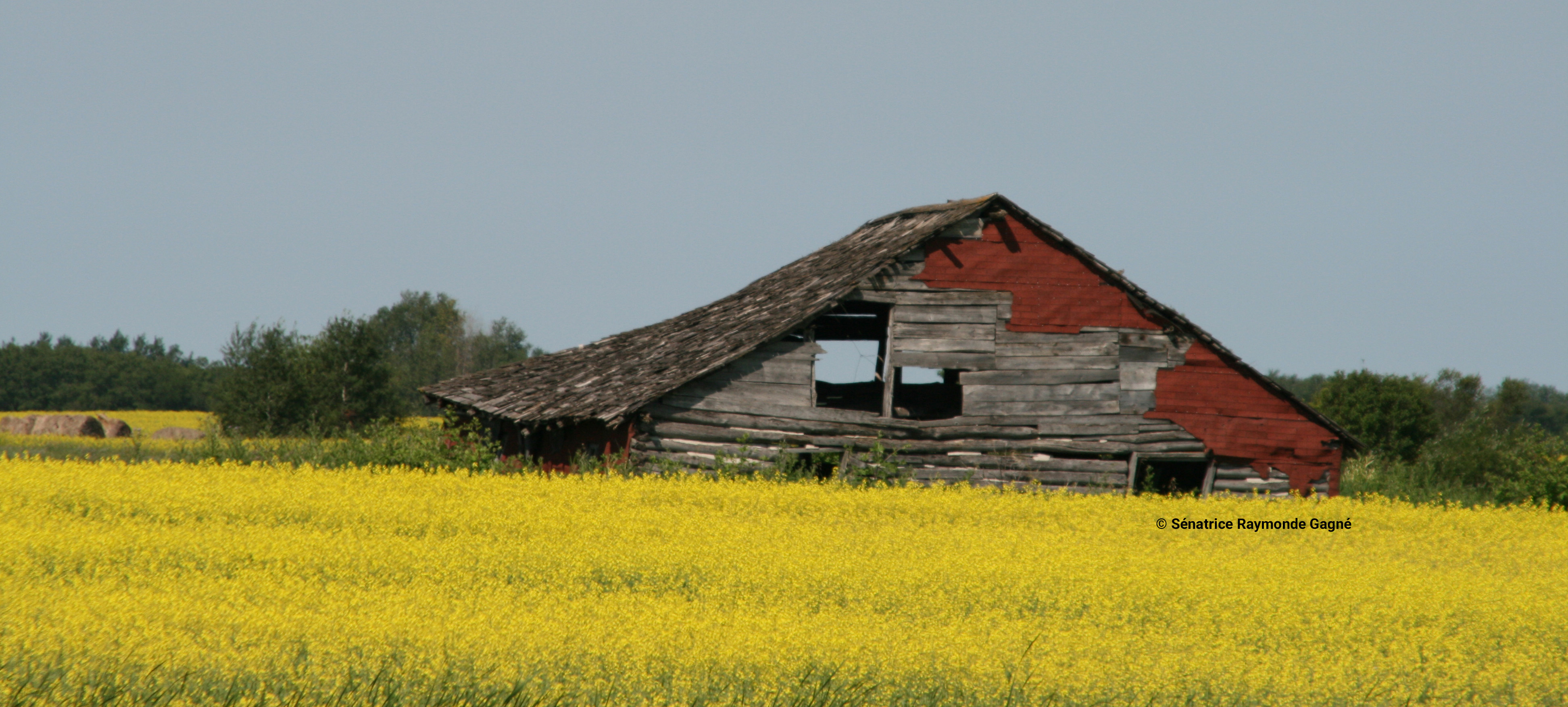 Raymonde Gagné Logo