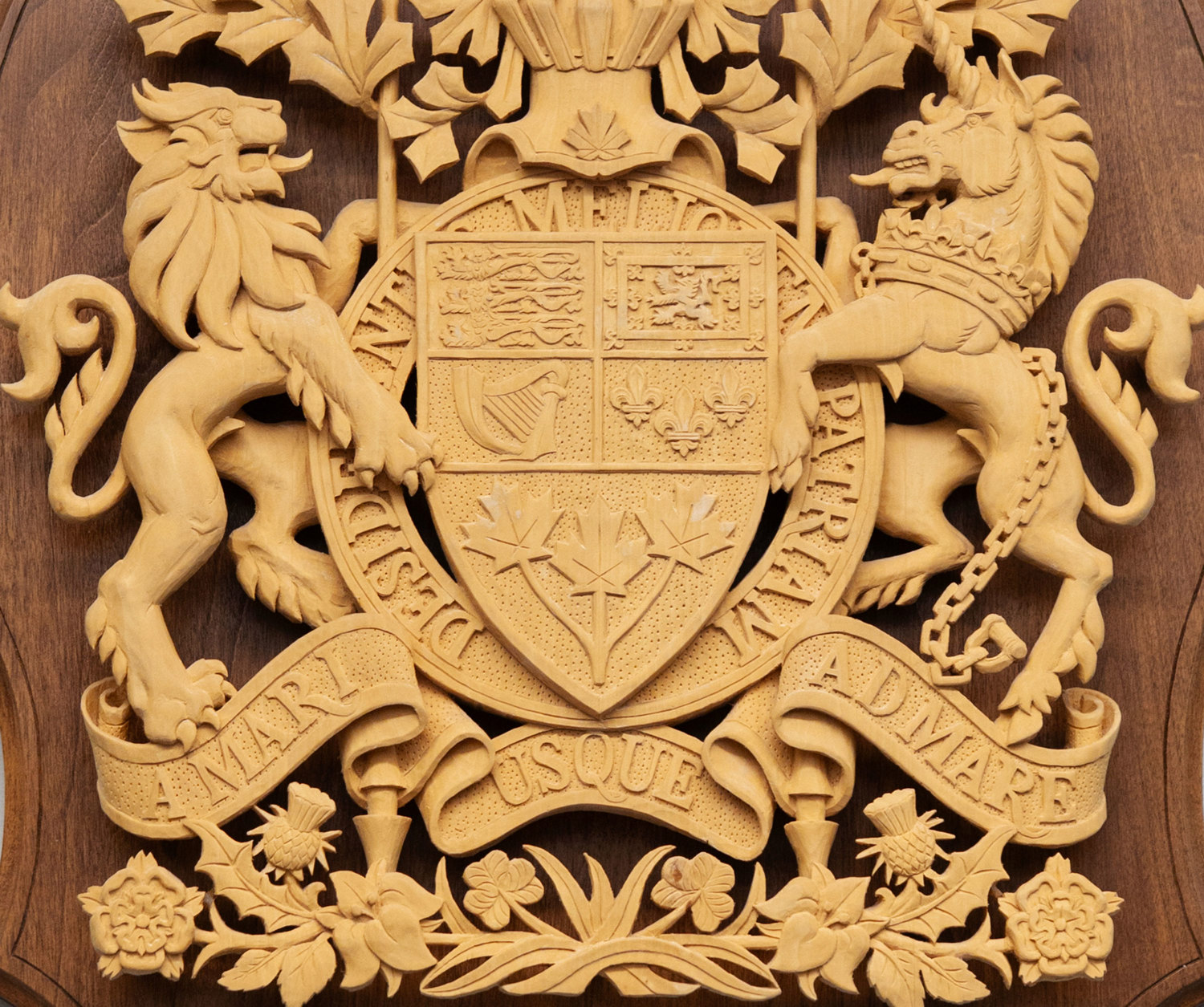 L’écu au centre des armoiries du Canada, avec un lion à sa gauche et une licorne à sa droite.
