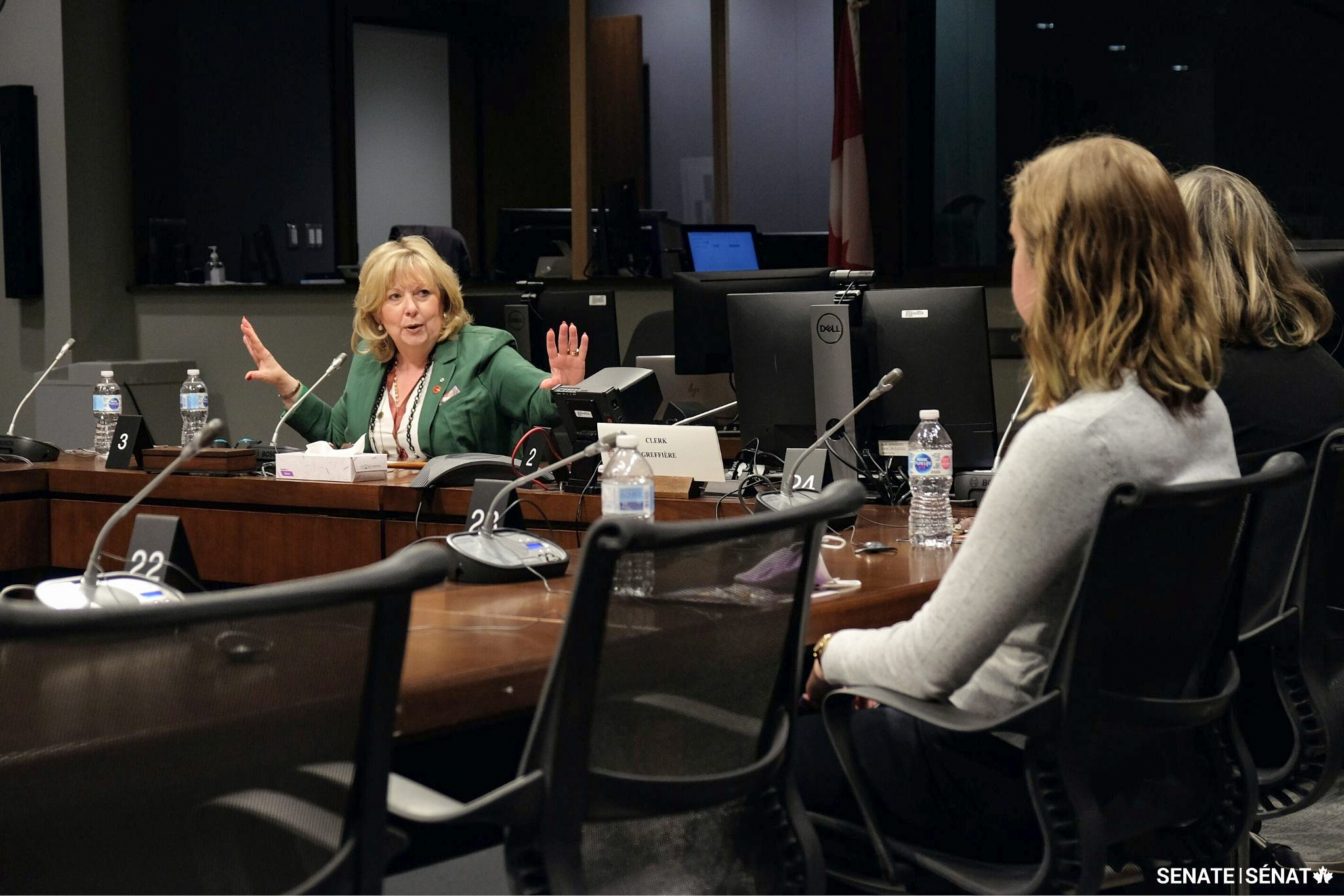 Wednesday, June 1, 2022 – Senator Pamela Wallin meets with students taking part in the University of Michigan’s Ottawa Internship Program. They discussed their experience working for members of Parliament and the strong ties between Canada and the United States. Senator Wallin answered questions about the role of the Senate and her work as chair of the Senate Committee on Banking, Trade and Commerce.