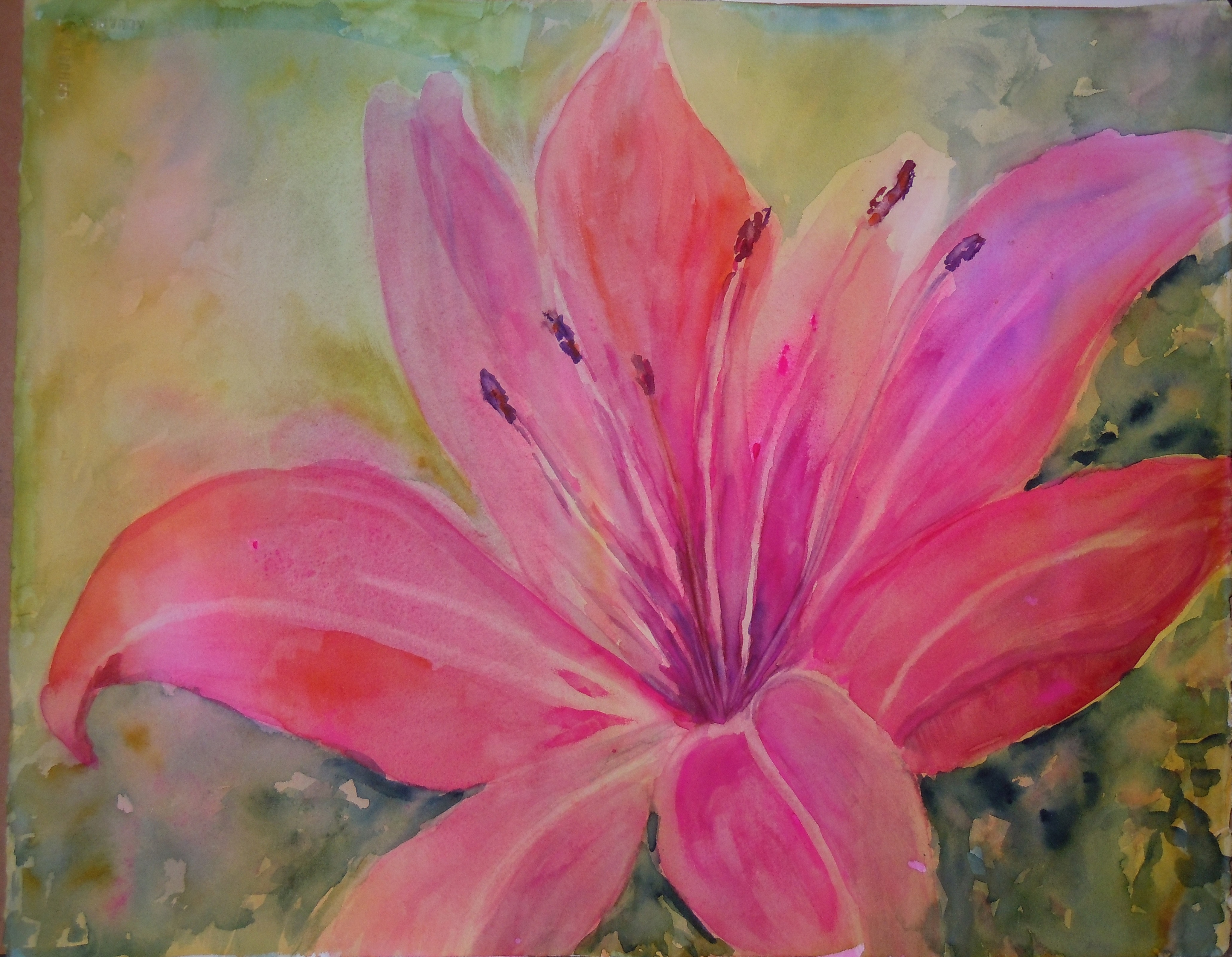 Salma Ataullahjan Logo